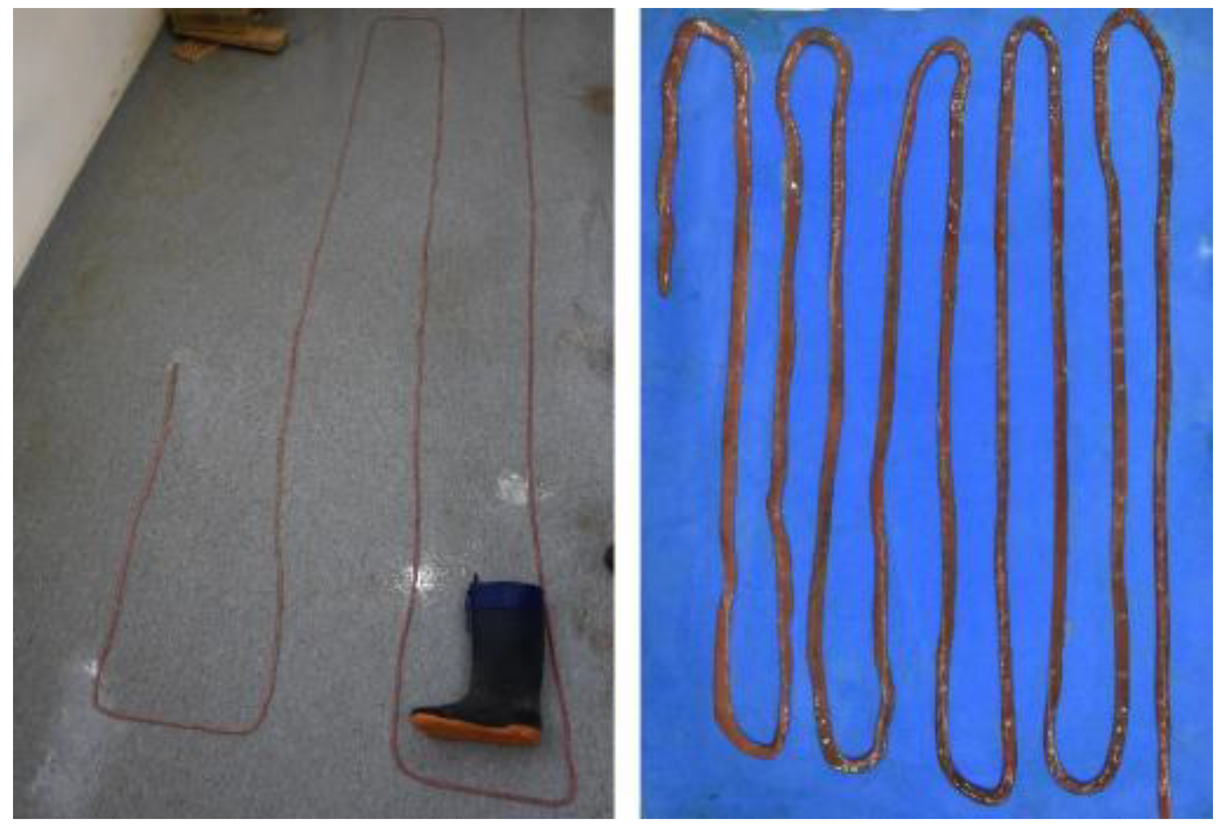 Animals 12 01634 g017 Animals 12 01634 g017