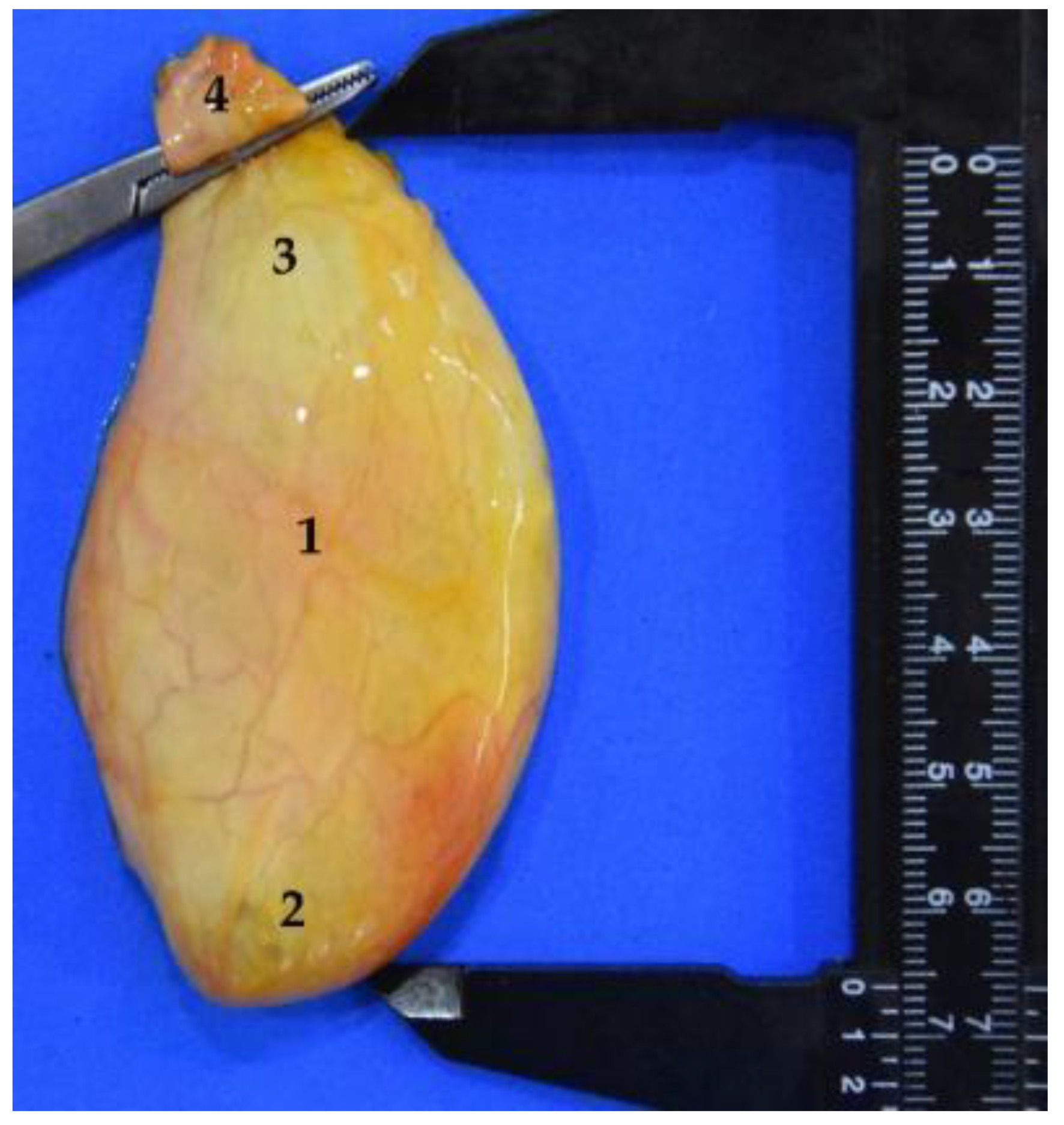 Animals 12 01634 g027 Animals 12 01634 g027