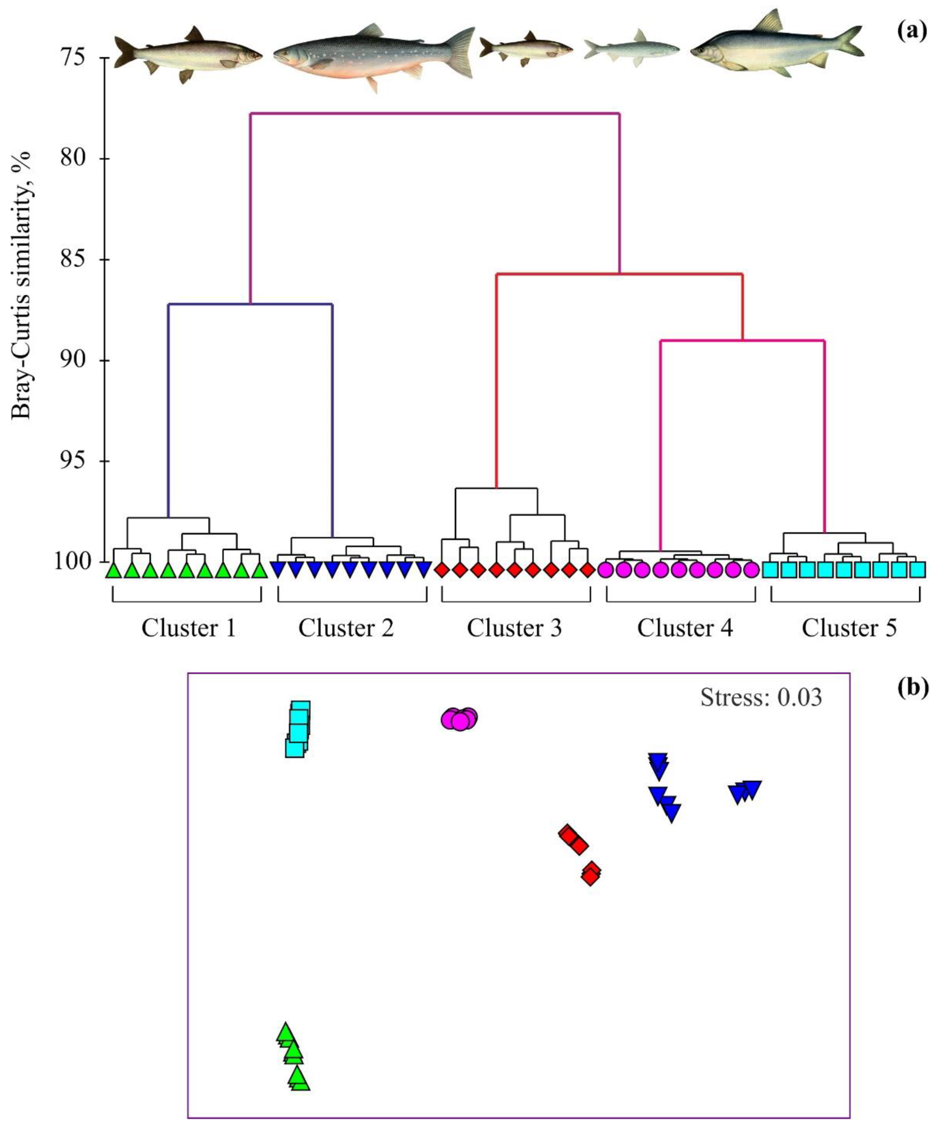 Animals 12 01643 g002 550