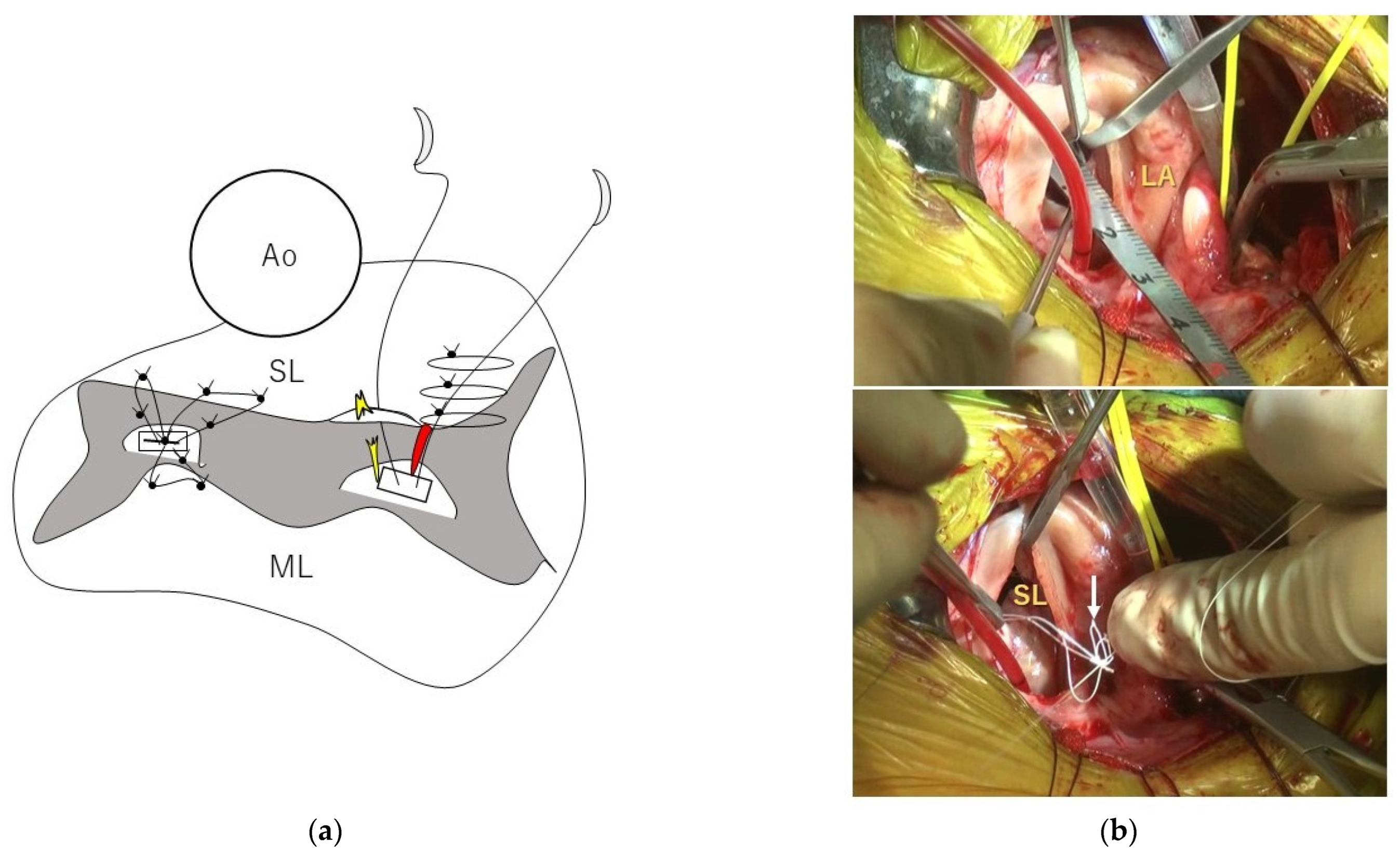 Animals 12 01653 g002 550