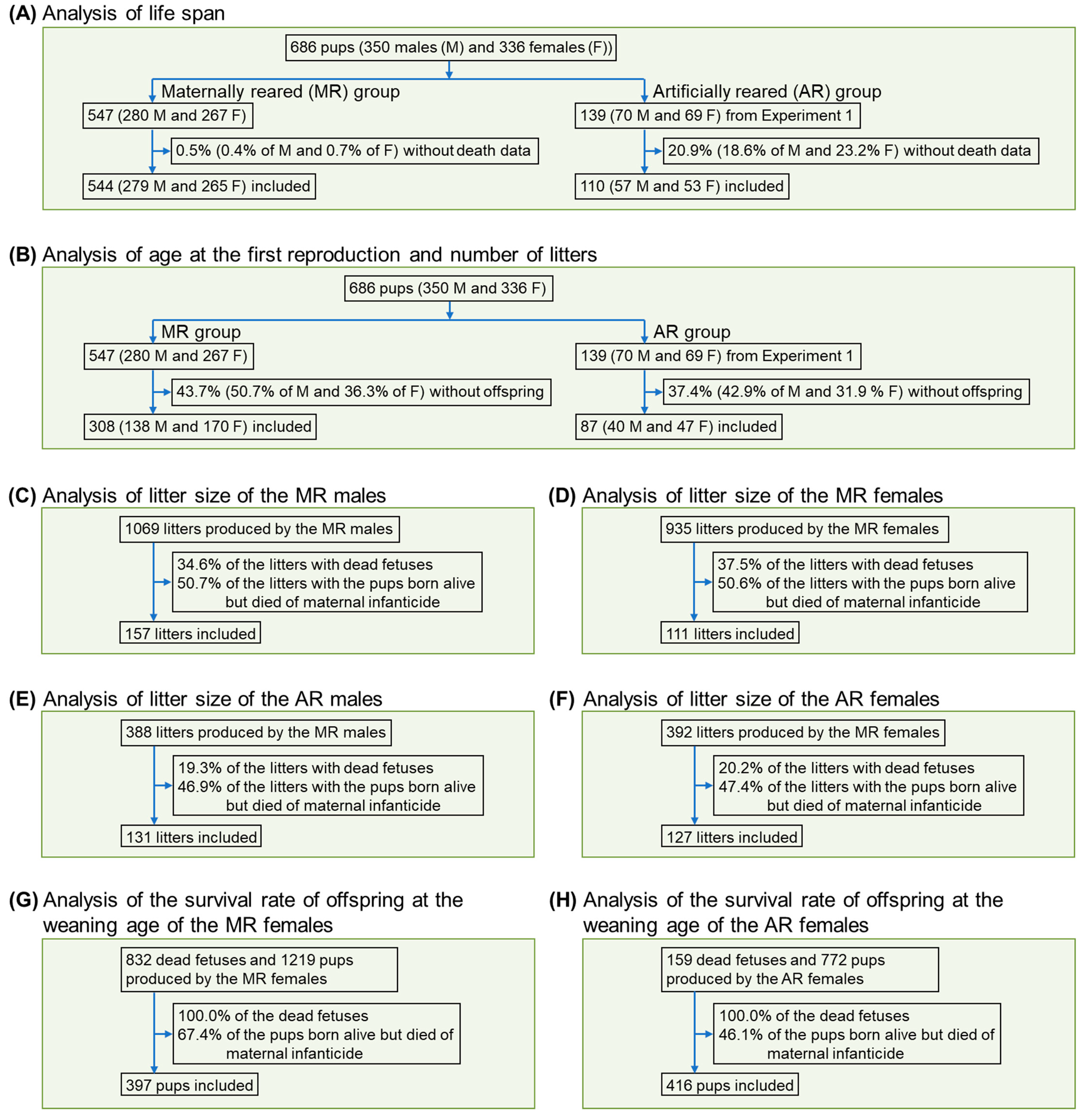 Animals 12 01655 g002 550