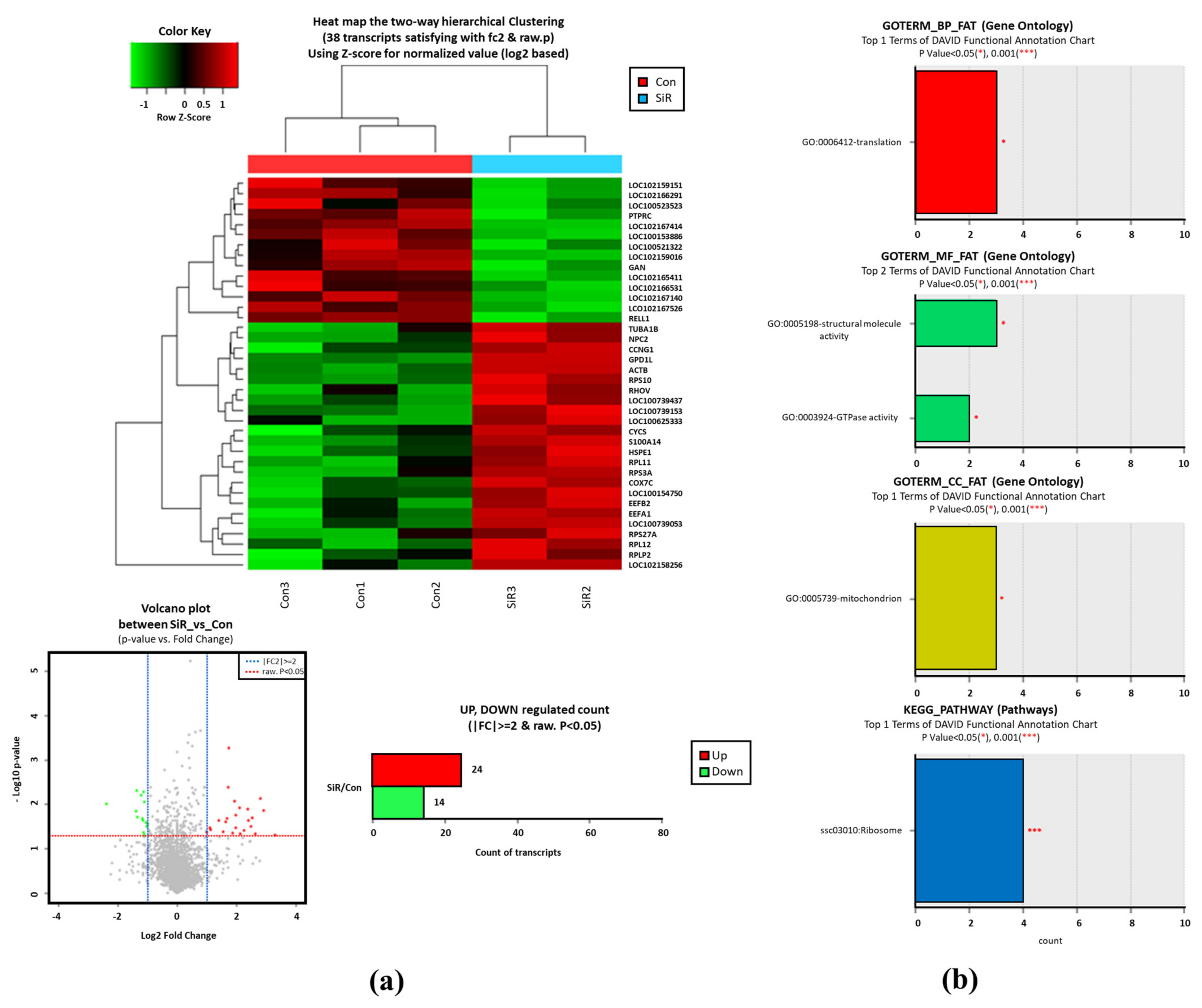 Animals 12 01662 g002 Animals 12 01662 g002