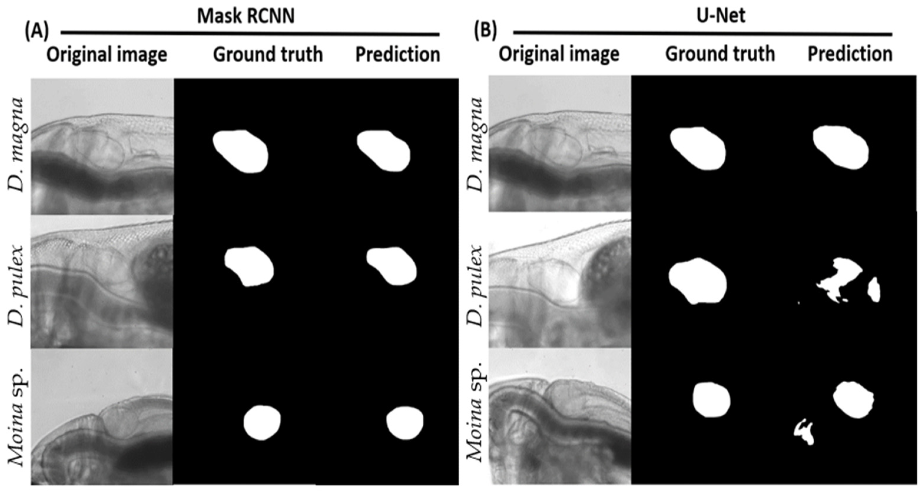 Animals 12 01670 g003