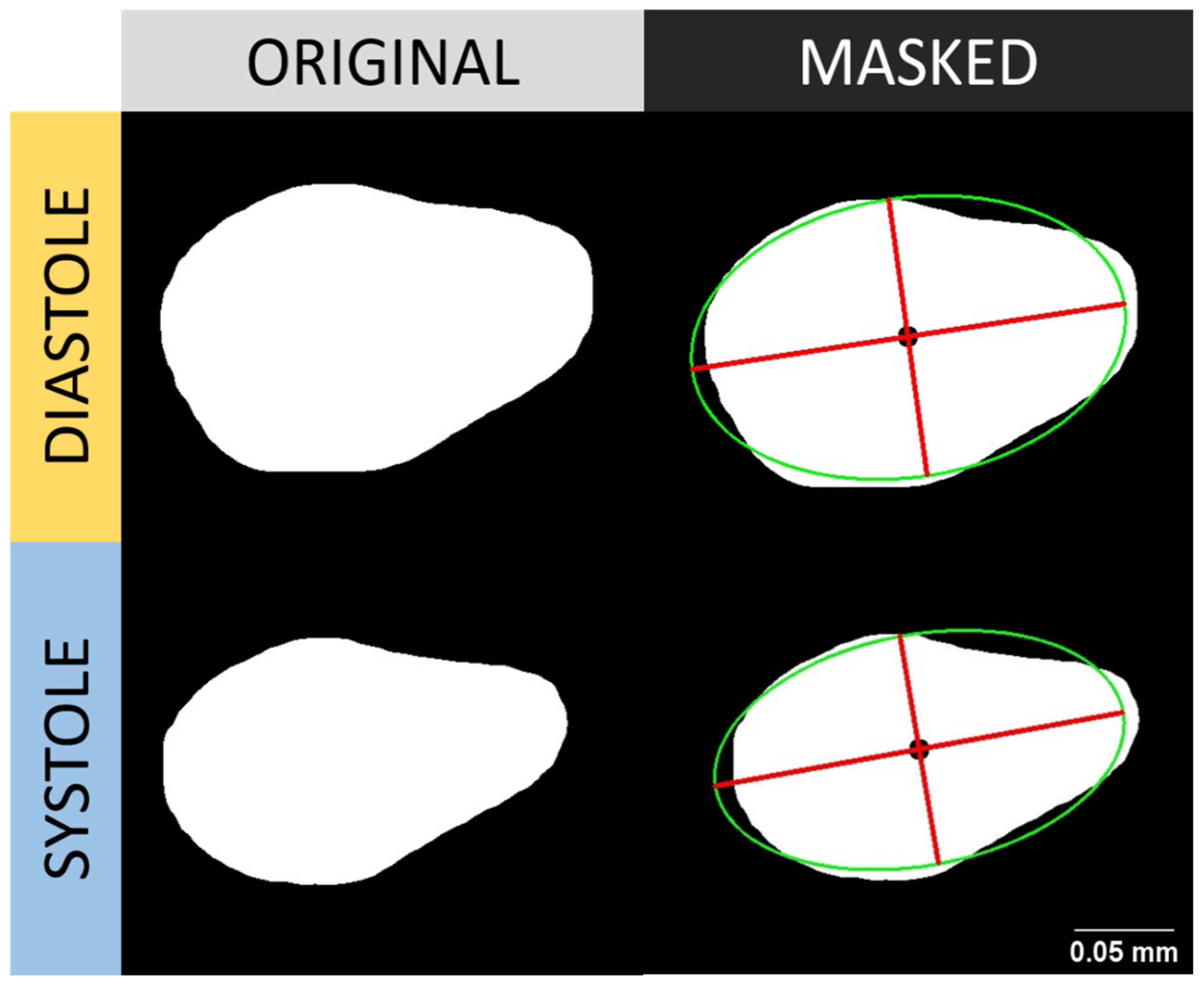 Animals 12 01670 g0a2
