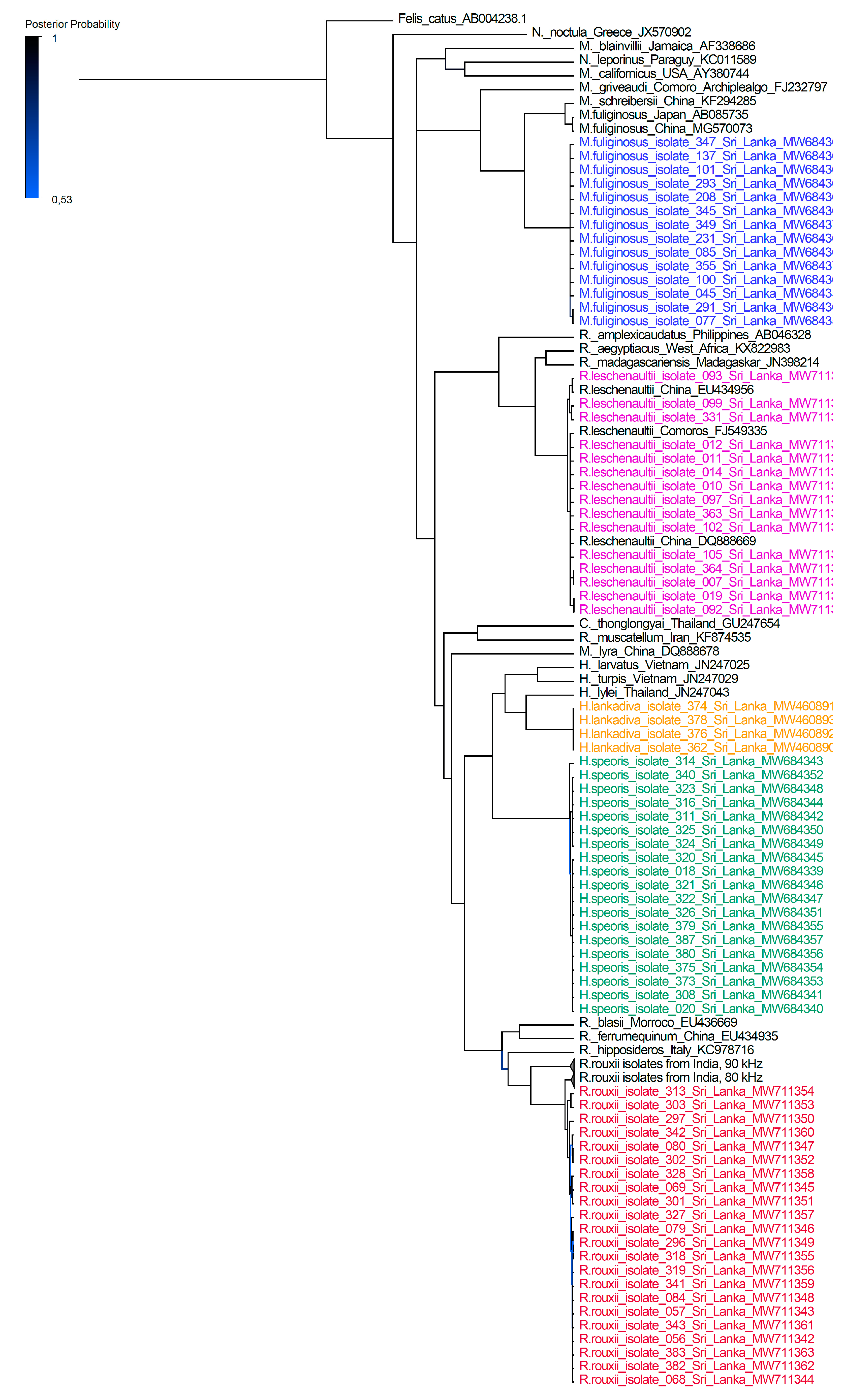 Animals 12 01674 g001 550