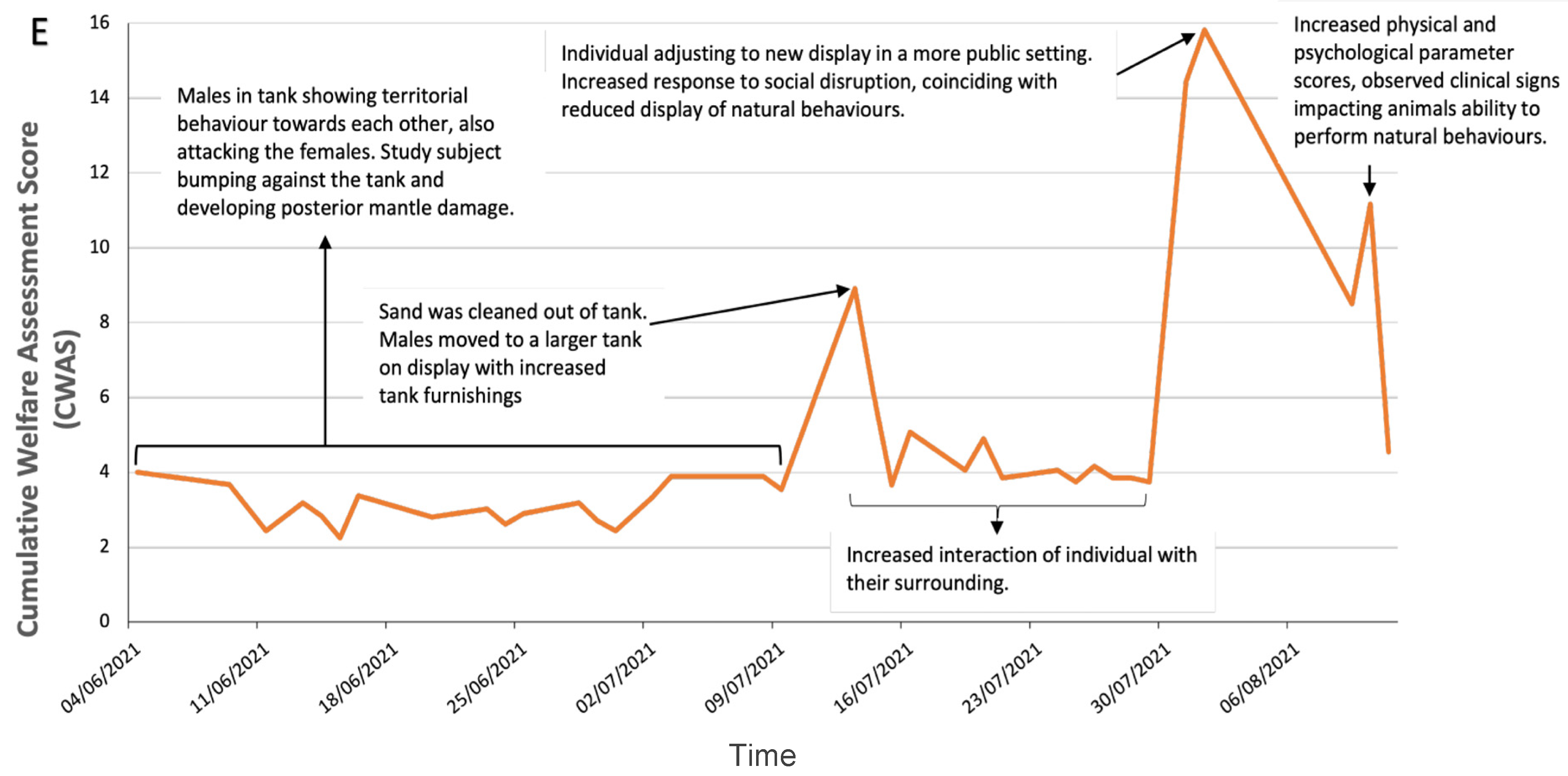 Animals 12 01675 g003c Animals 12 01675 g003c