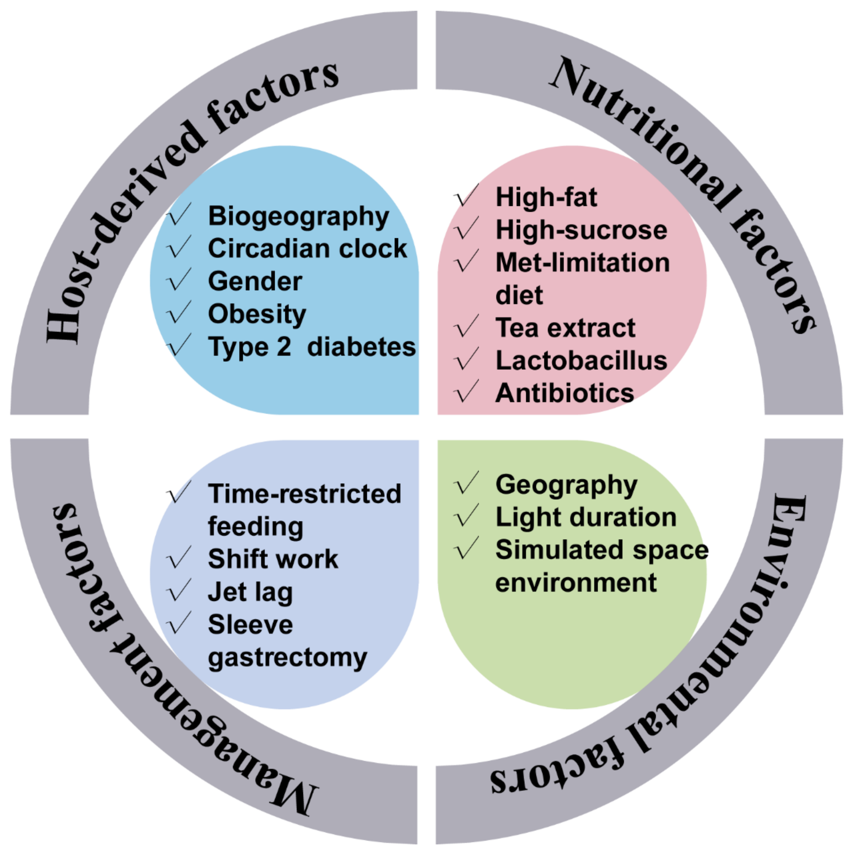 Neurotransmitter Venn Diagram