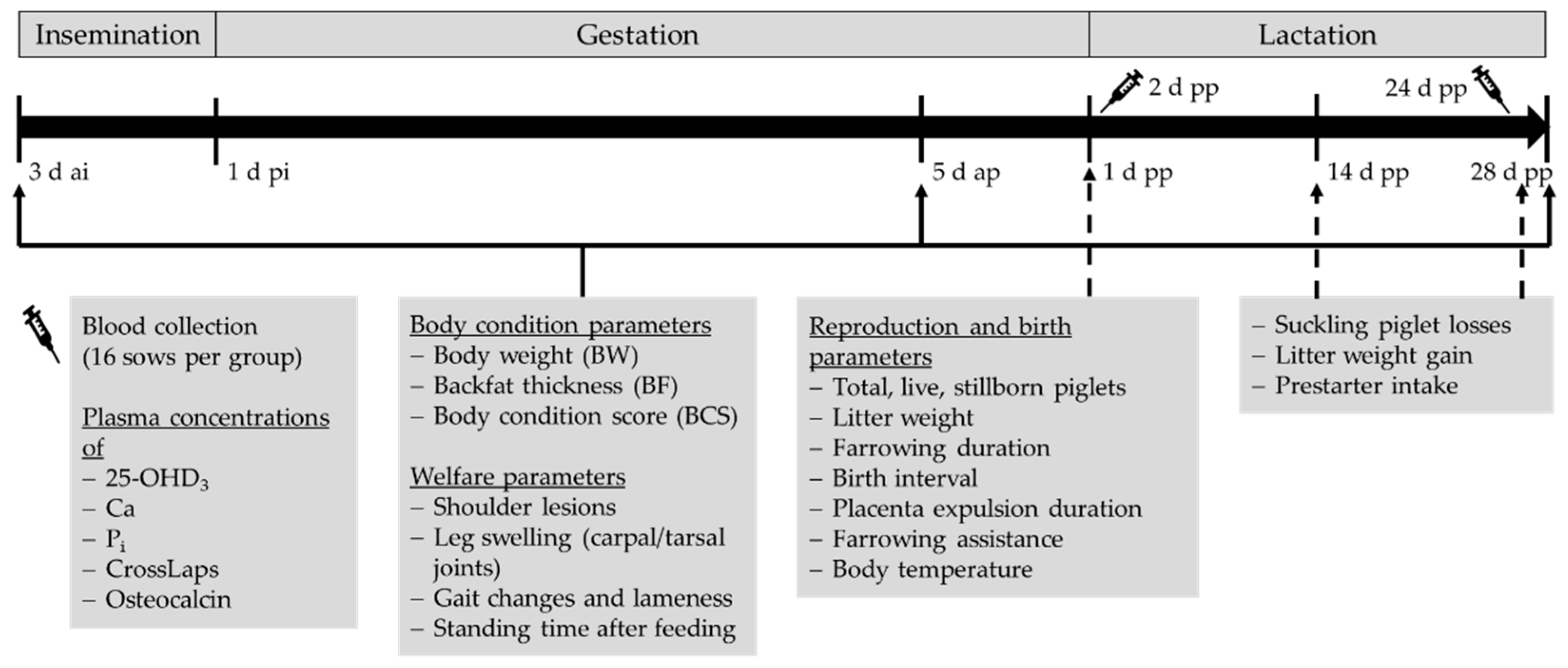 Animals 12 01678 g001