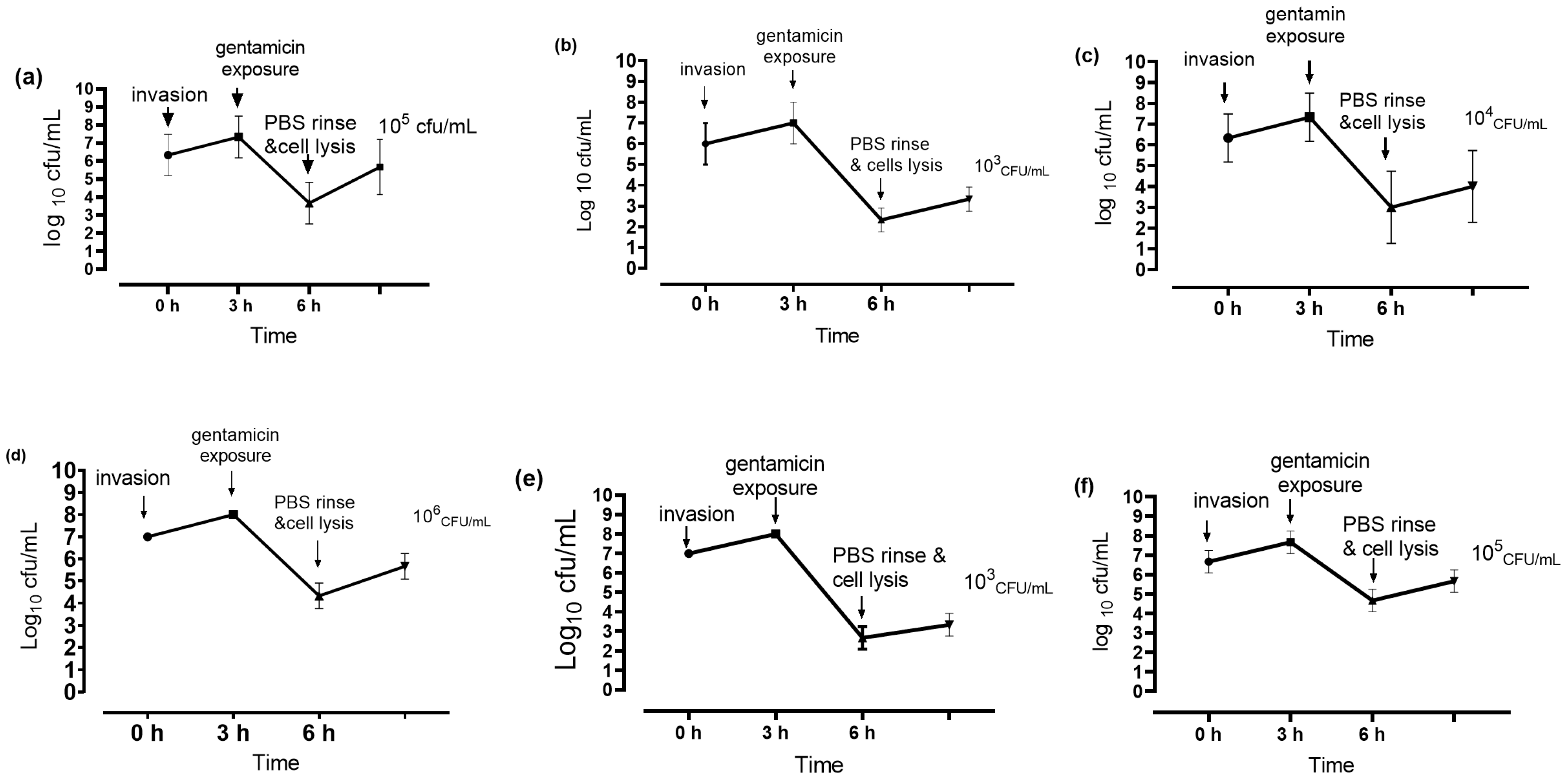 Animals 12 01680 g003