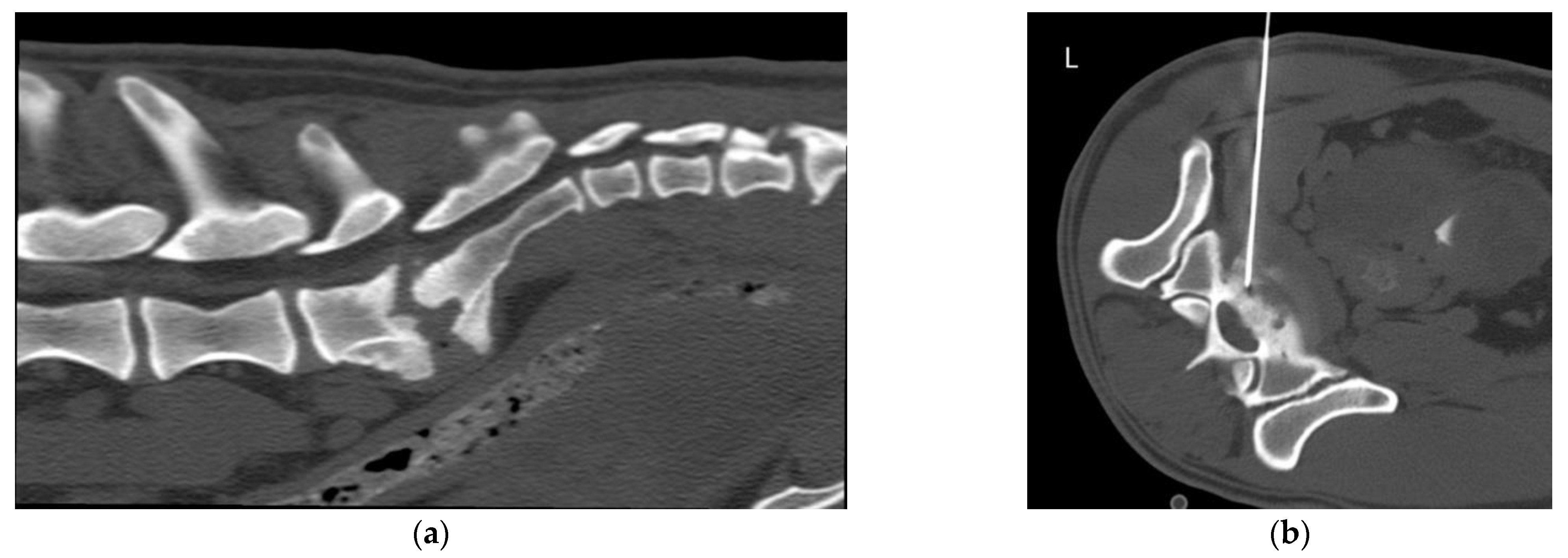 Animals 12 01688 g001 550