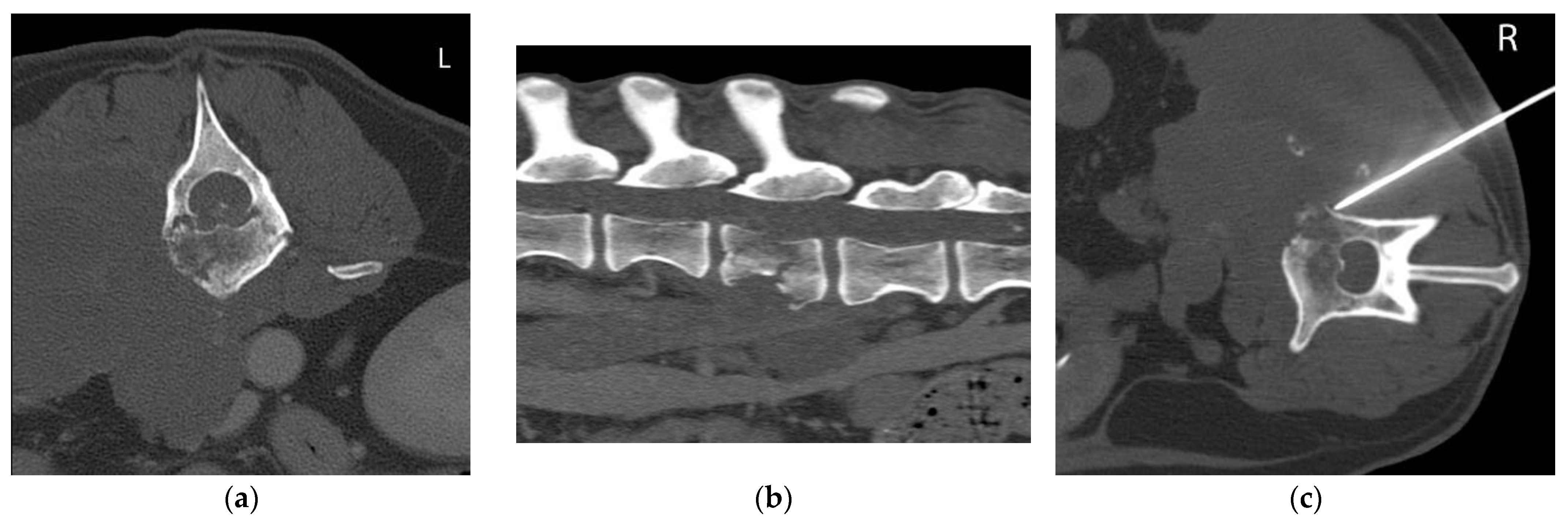 Animals 12 01688 g003 550