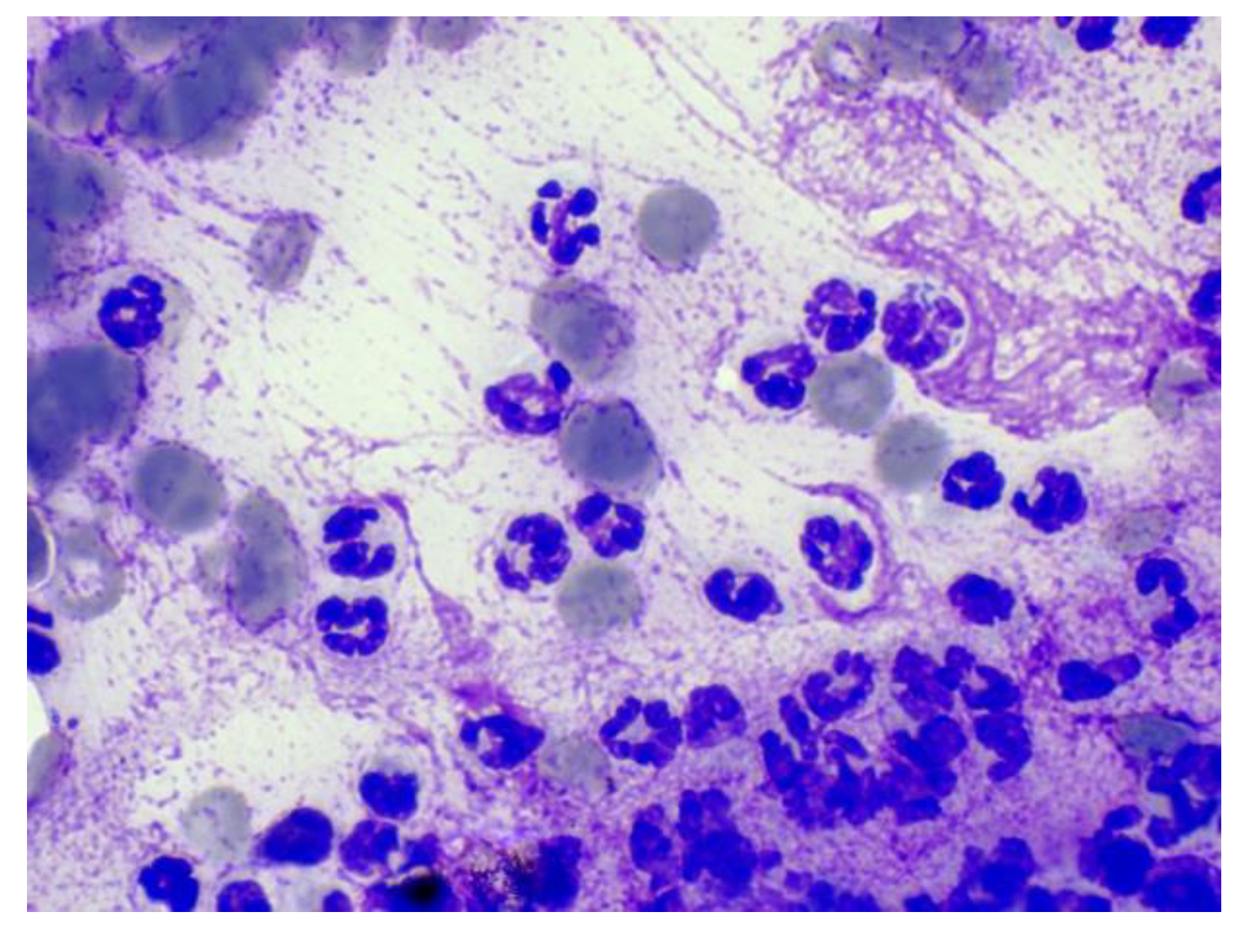 Animals 12 01688 g004 550