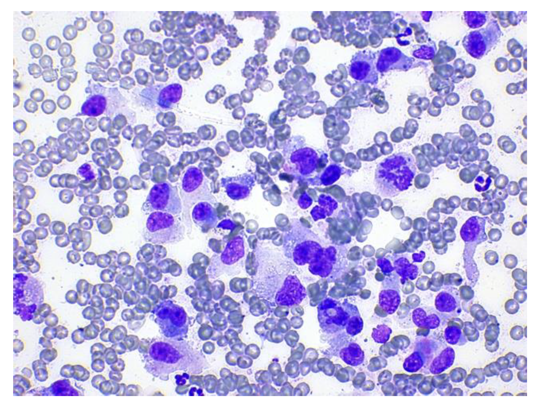 Animals 12 01688 g005 550