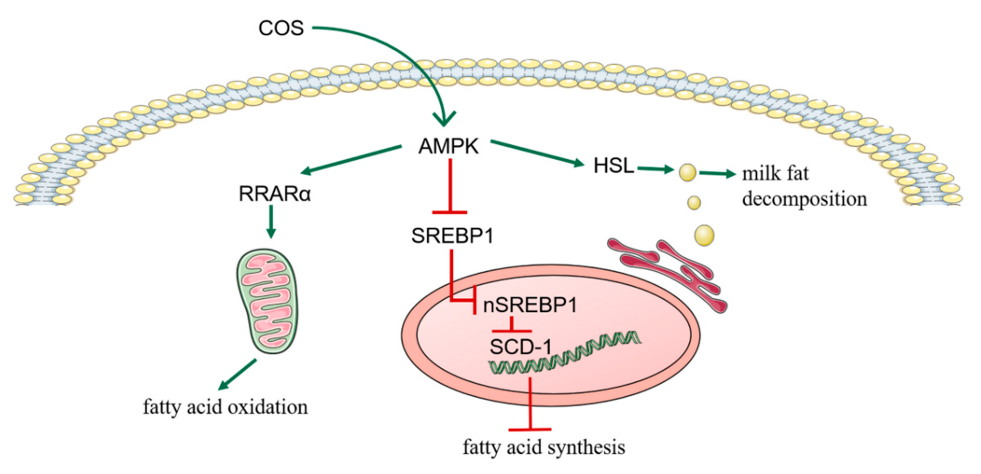 Animals 12 01692 g004