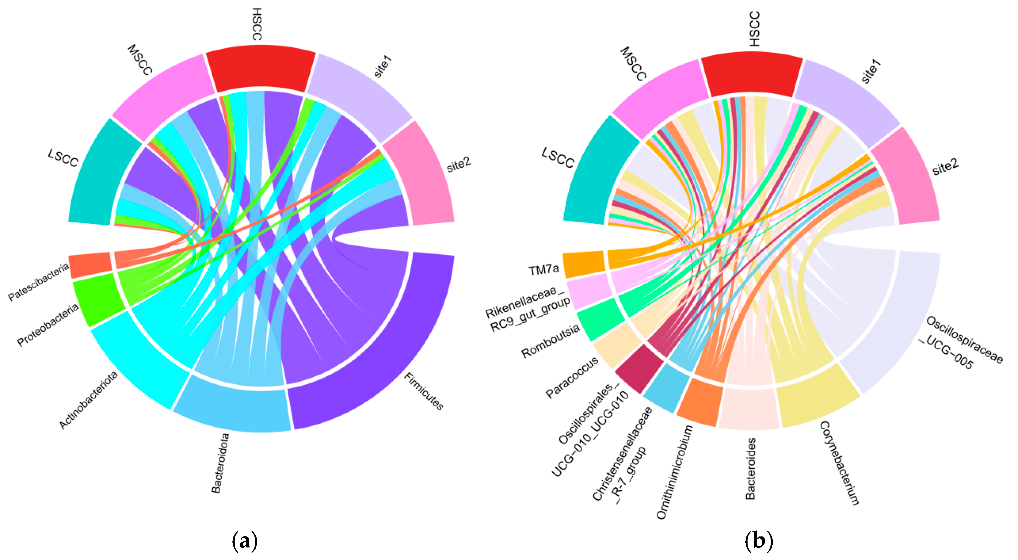 Animals 12 01694 g001