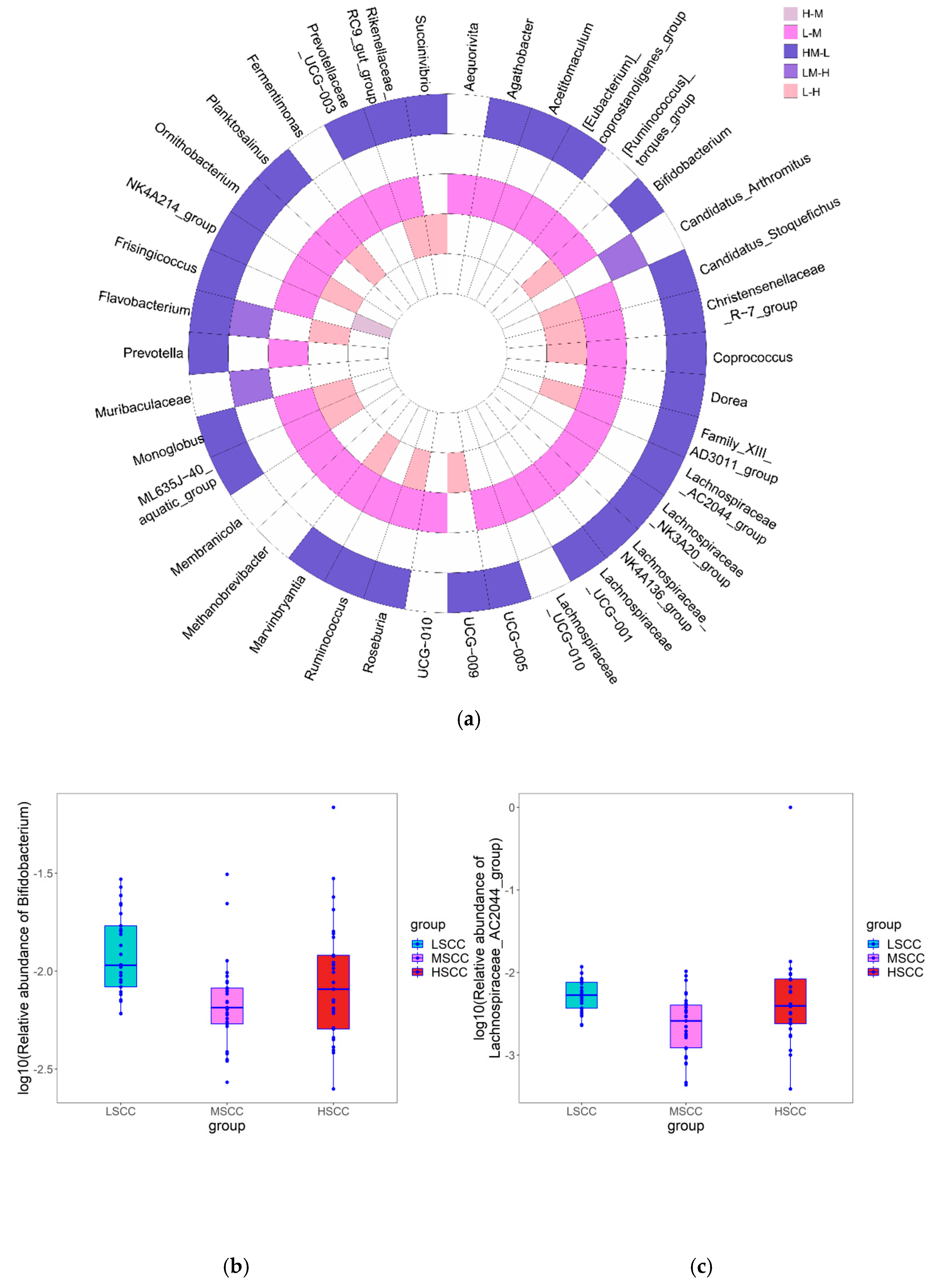 Animals 12 01694 g004a