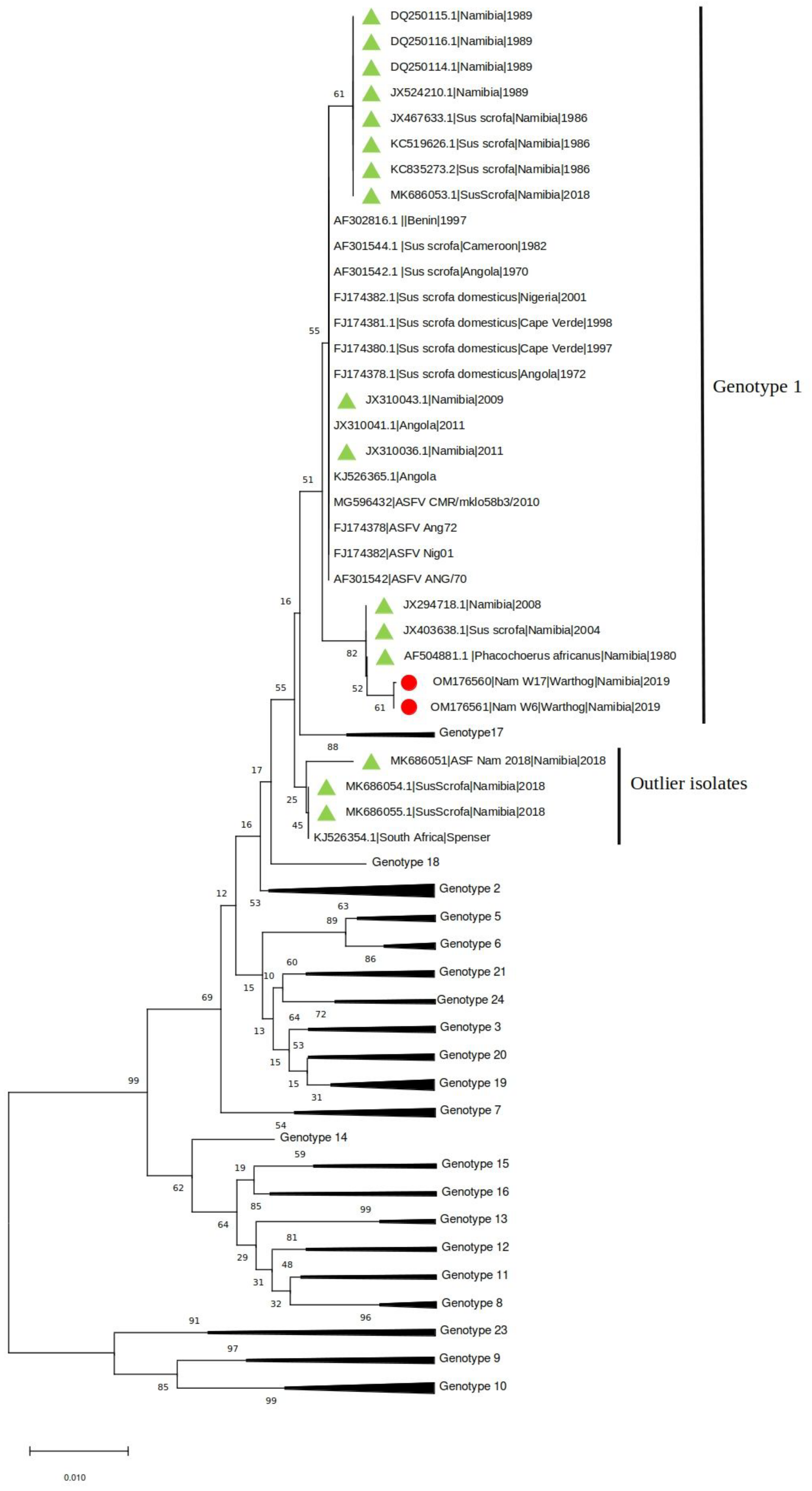Animals 12 01697 g001