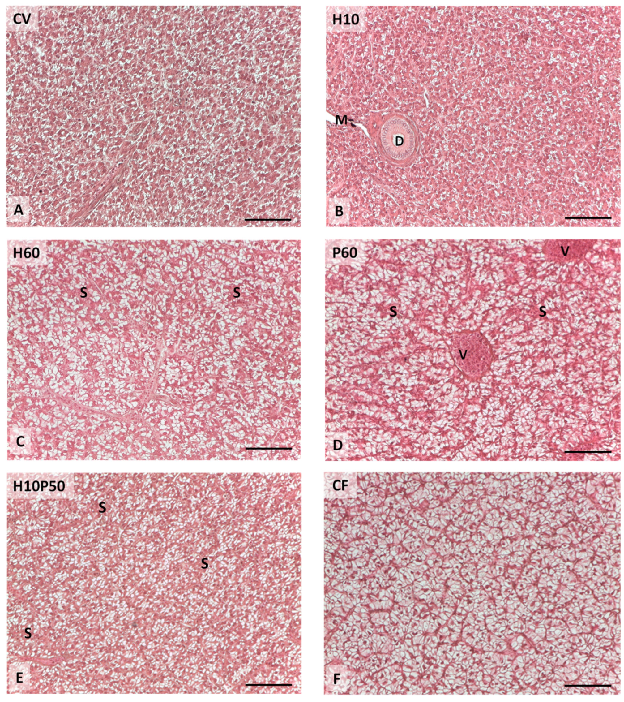 Animals 12 01698 g008