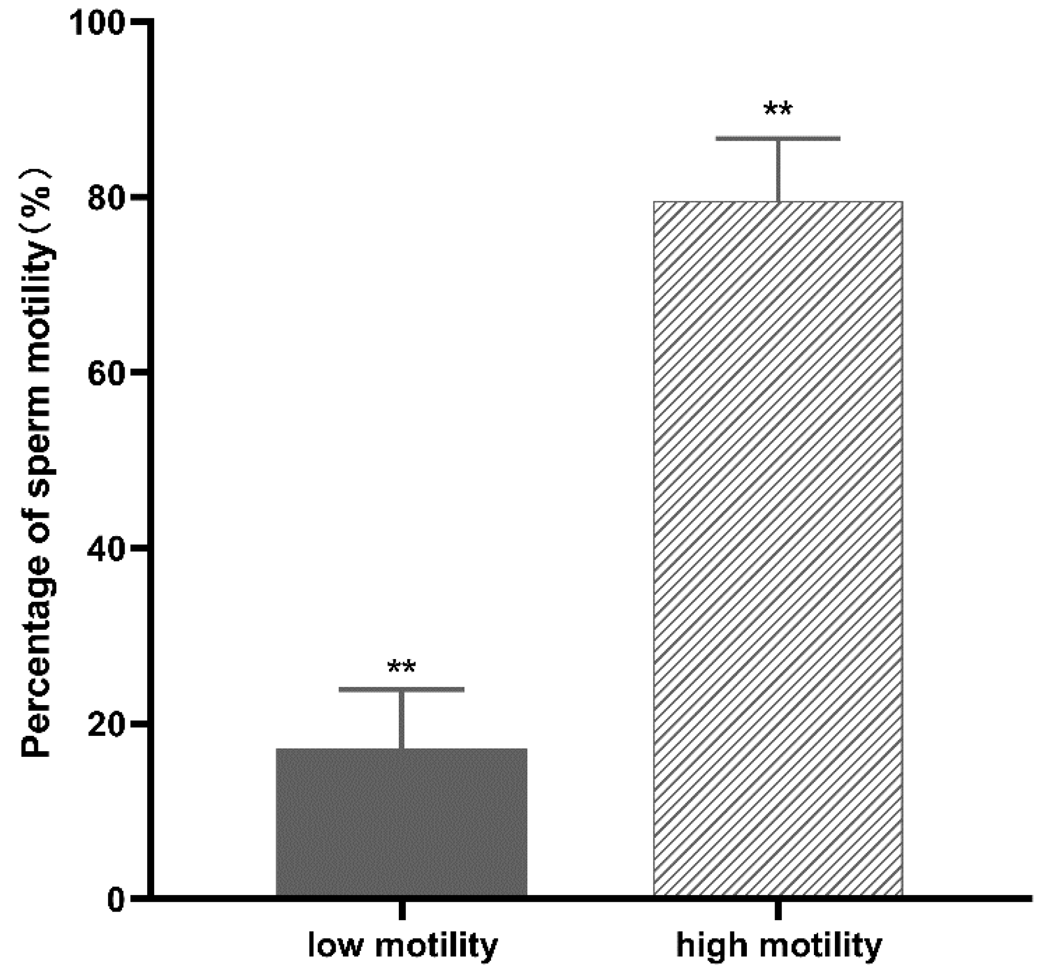Animals | Free Full-Text | Comparative Proteomic Analyses of Poorly Motile Swamp Buffalo Spermatozoa Reveal Low Energy Metabolism and Deficiencies in Motility-Related Proteins Animals | Free Full-Text | Comparative Proteomic Analyses of Poorly Motile Swamp Buffalo Spermatozoa Reveal Low Energy Metabolism and Deficiencies in Motility-Related Proteins