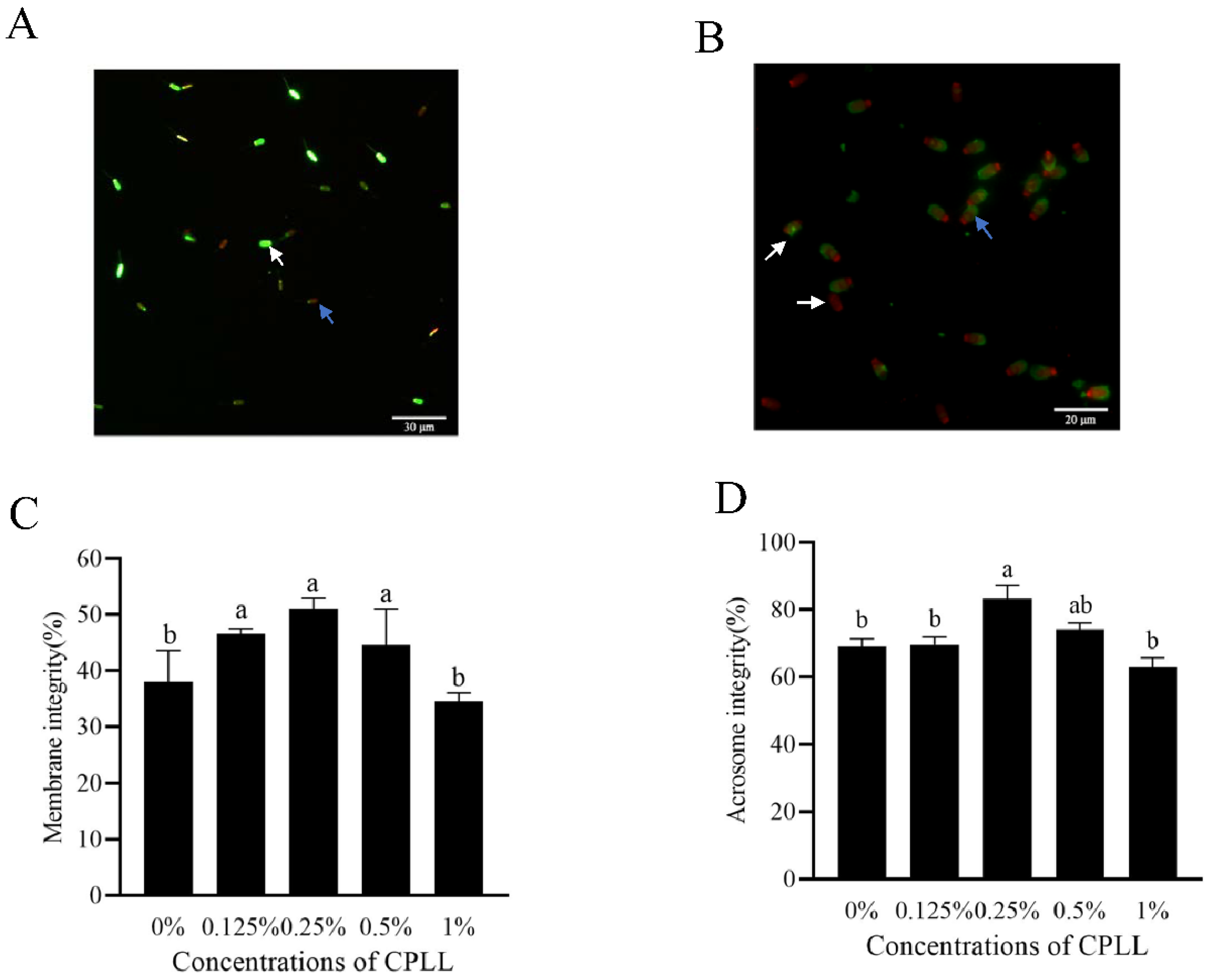 Animals 12 01726 g001 550