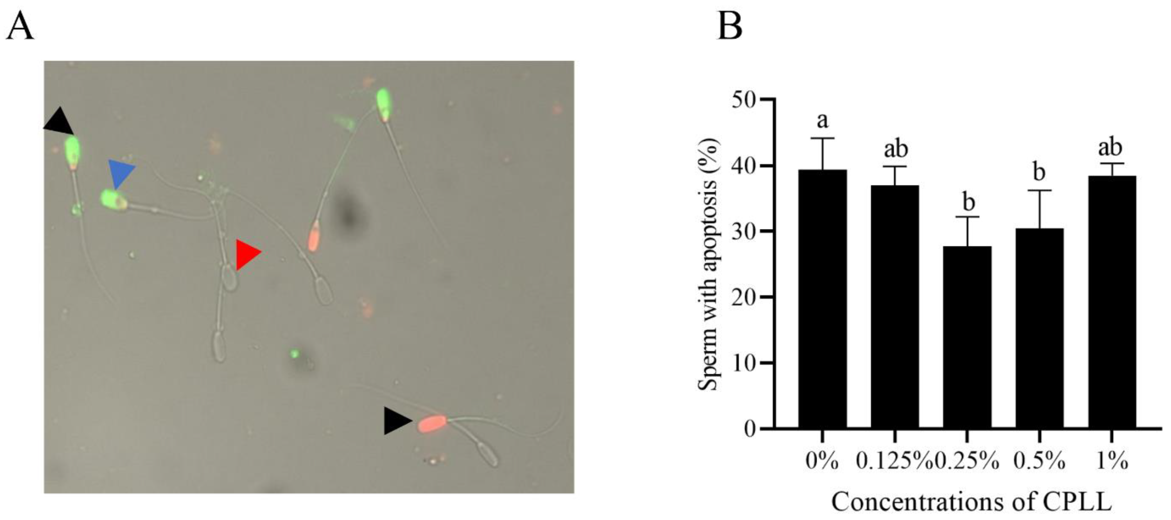 Animals 12 01726 g004 550