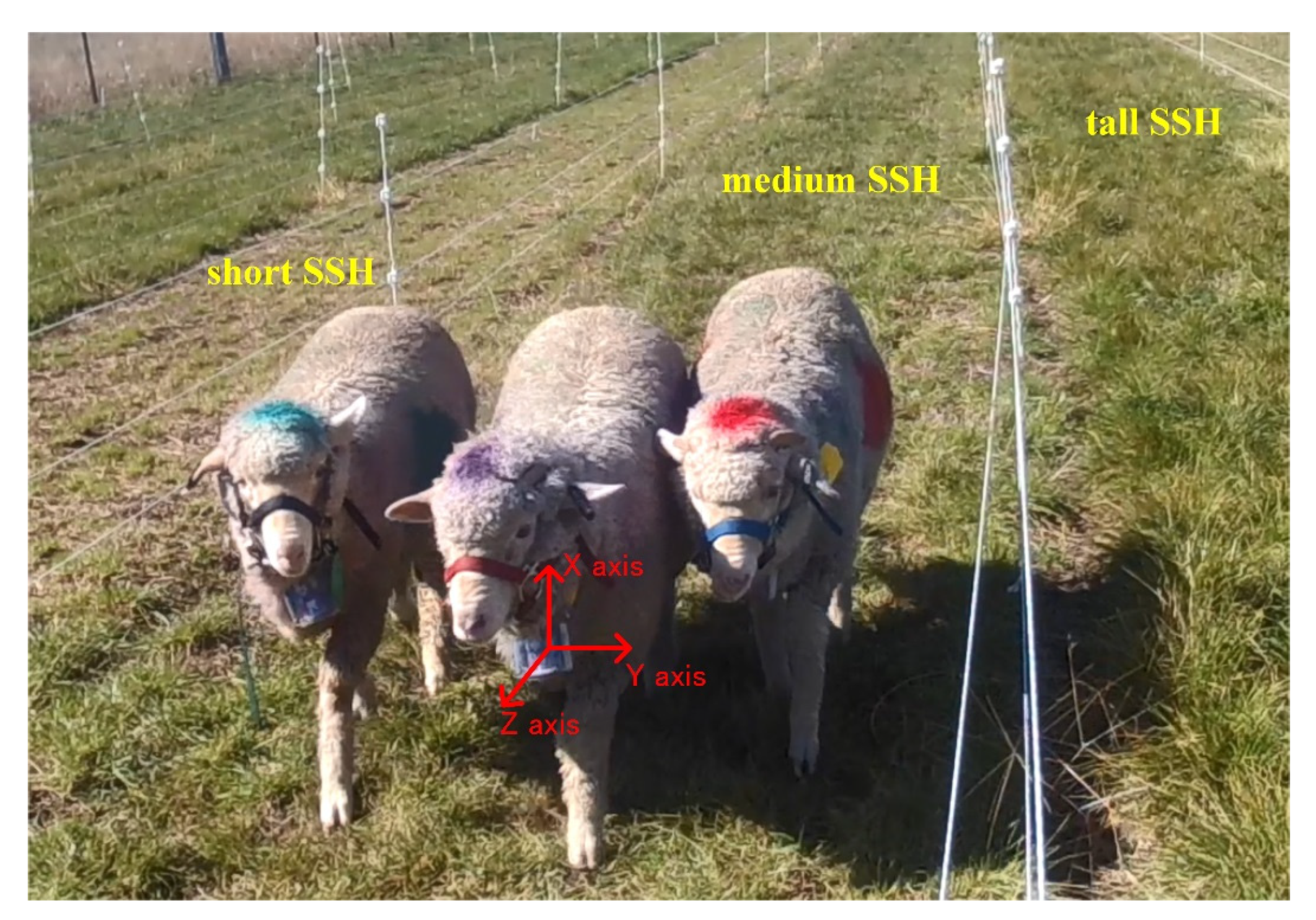 Animals 12 01744 g001