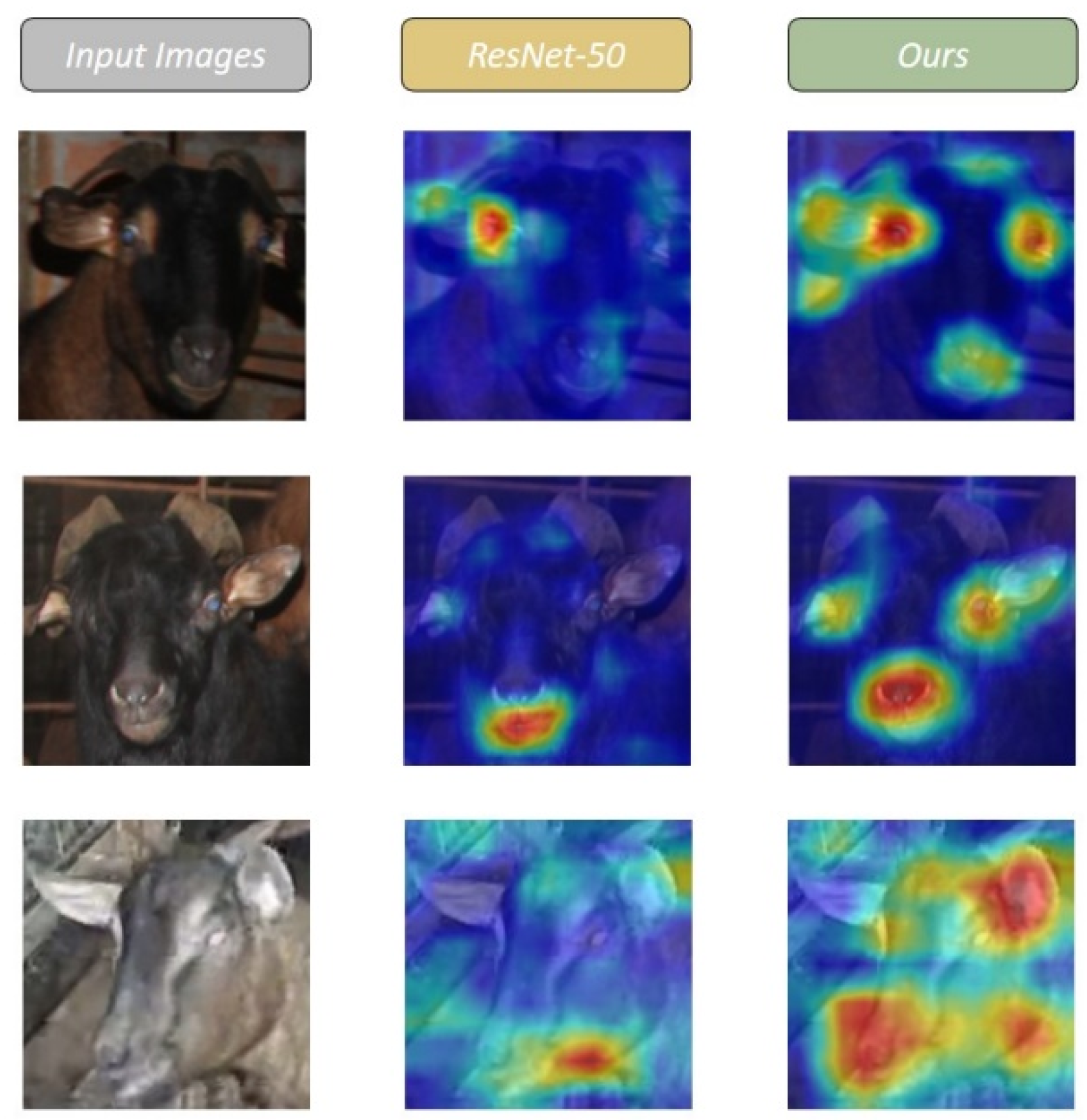 Animals 12 01746 g011