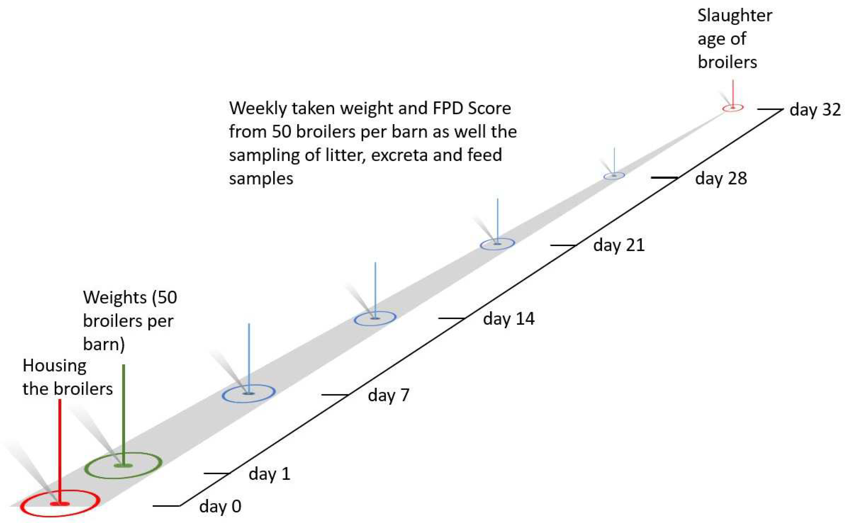 Animals 12 01749 g002 550