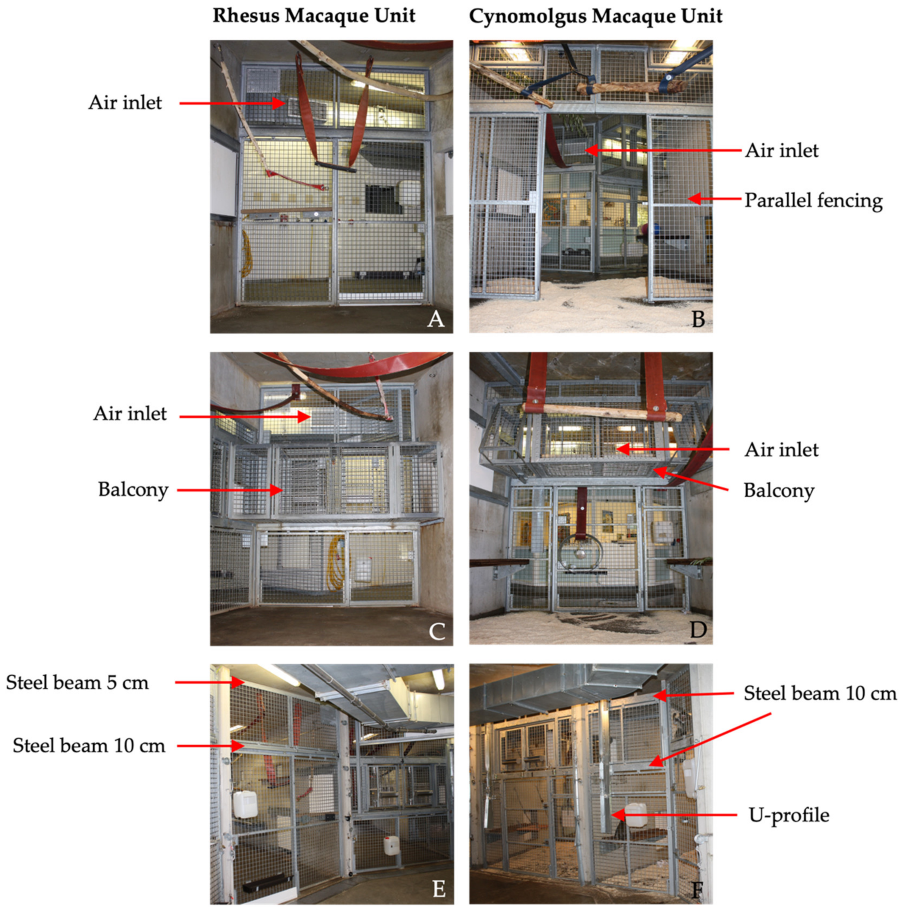 Animals 12 01750 g001 550