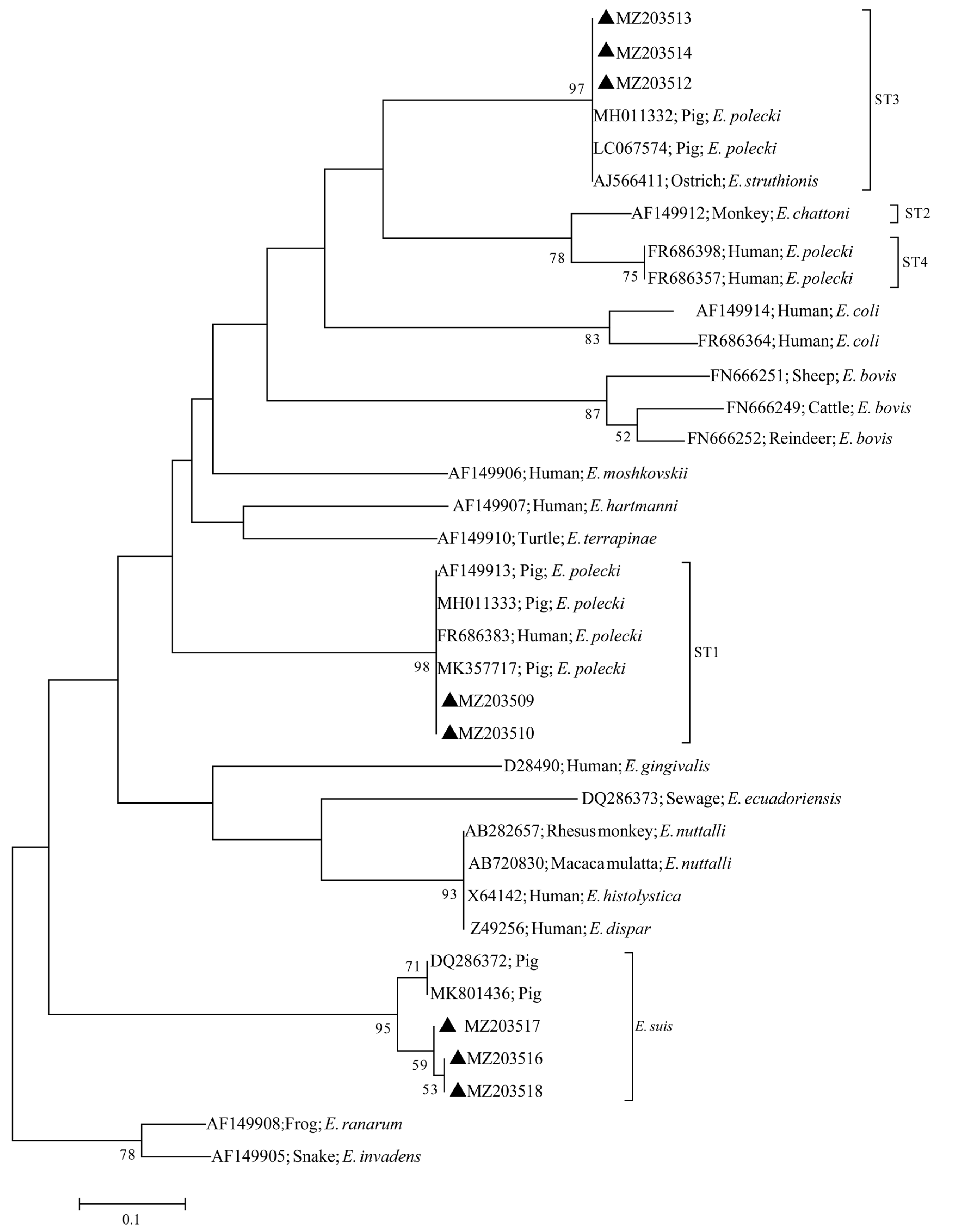 Animals 12 01764 g002 Animals 12 01764 g002