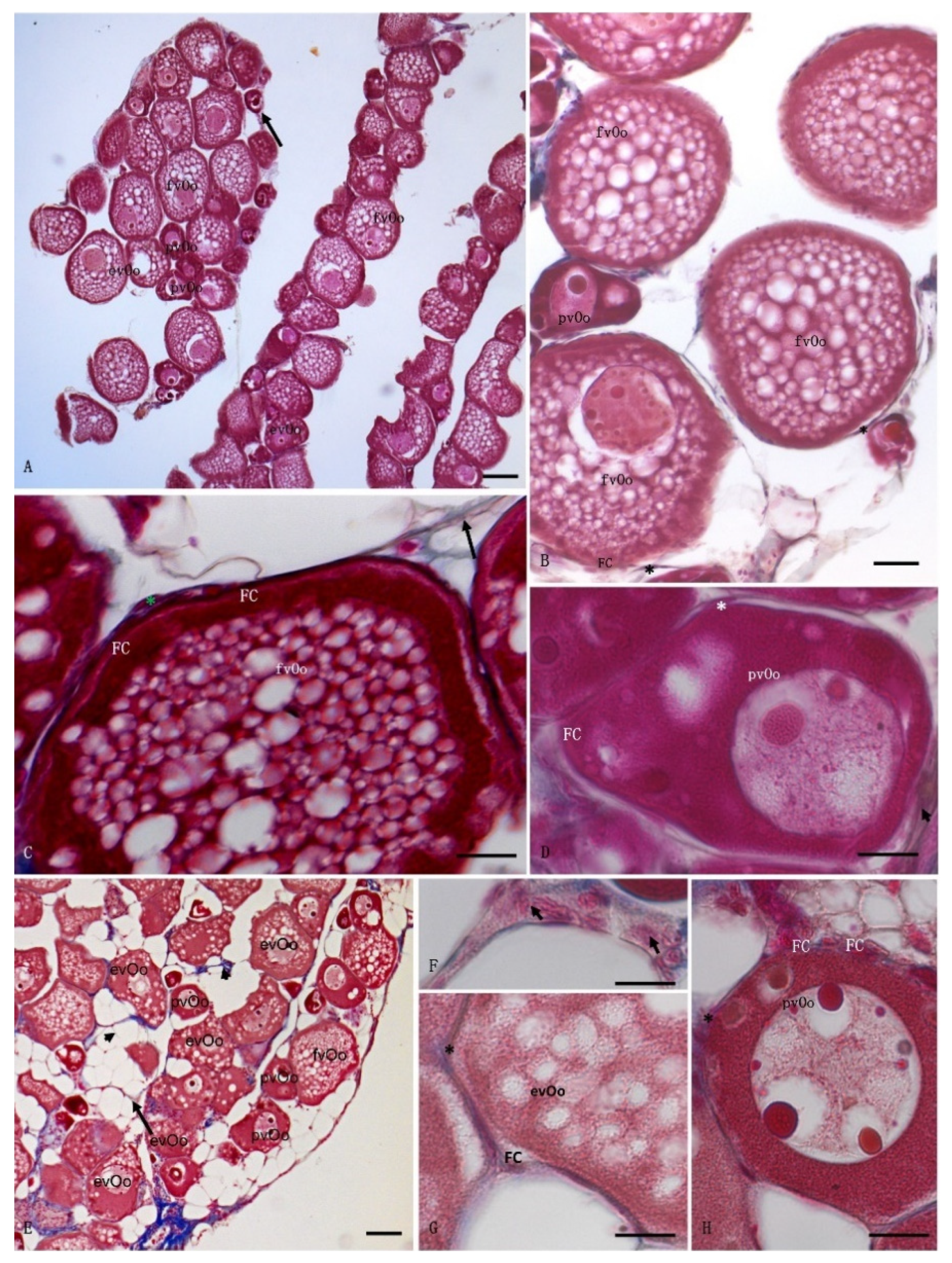 Animals 12 01766 g001 Animals 12 01766 g001