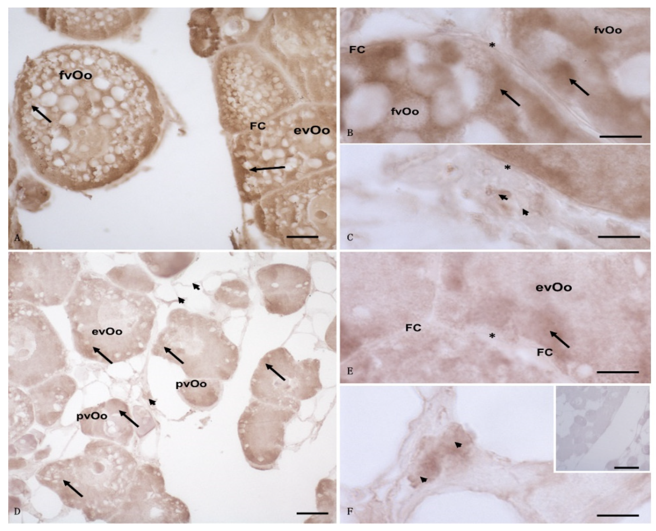 Animals 12 01766 g003 Animals 12 01766 g003