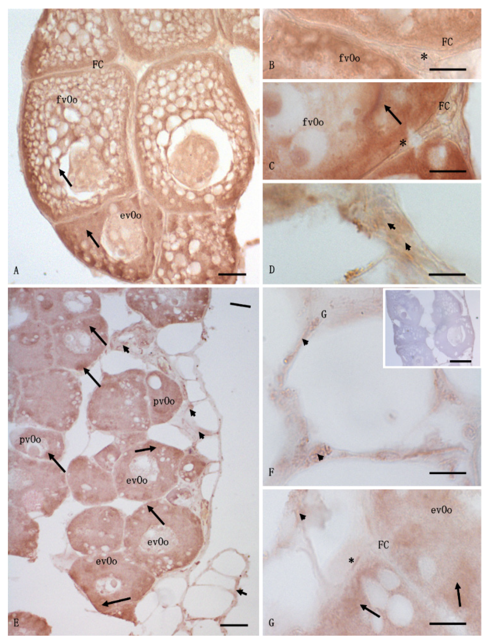 Animals 12 01766 g005 Animals 12 01766 g005