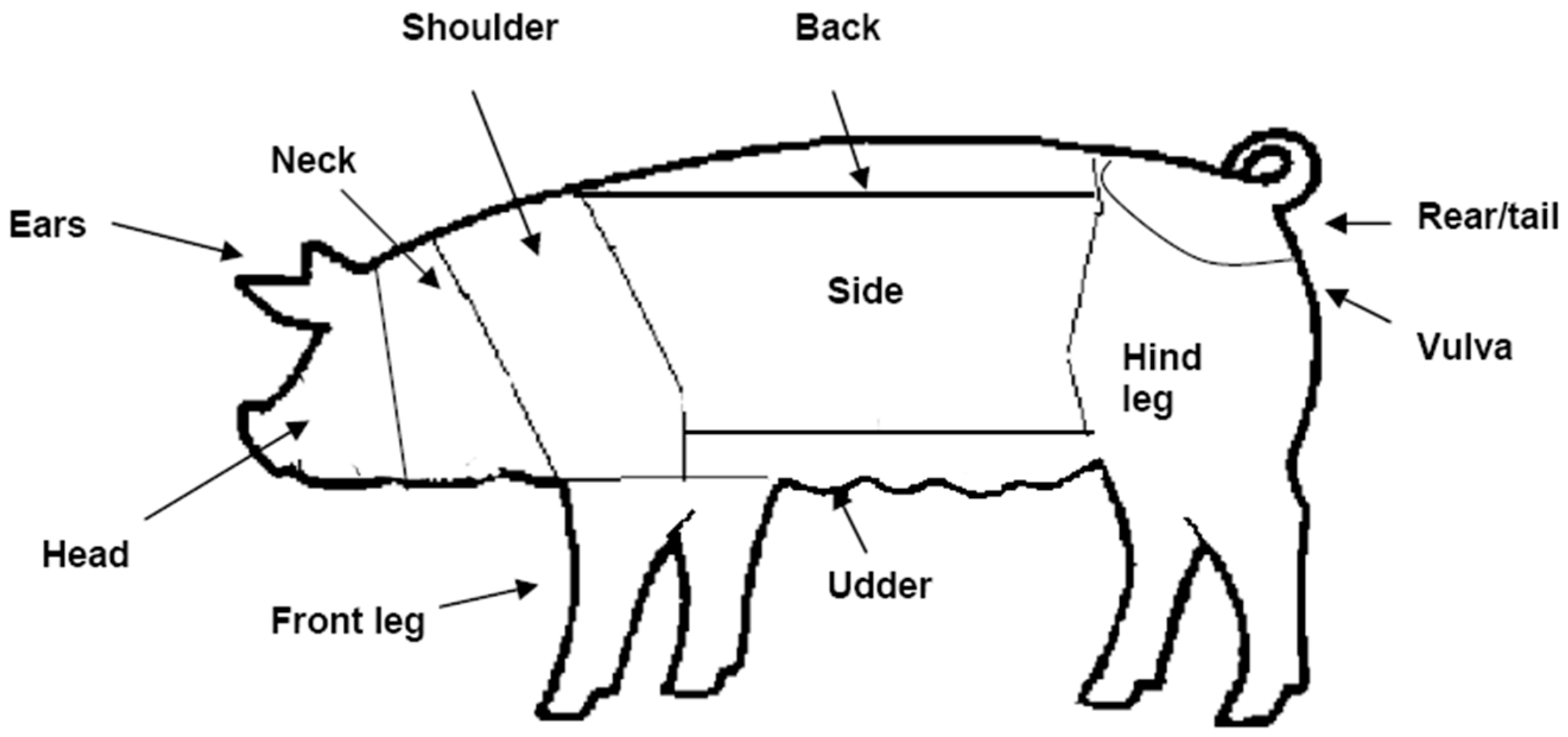 Animals 12 01768 g003 550