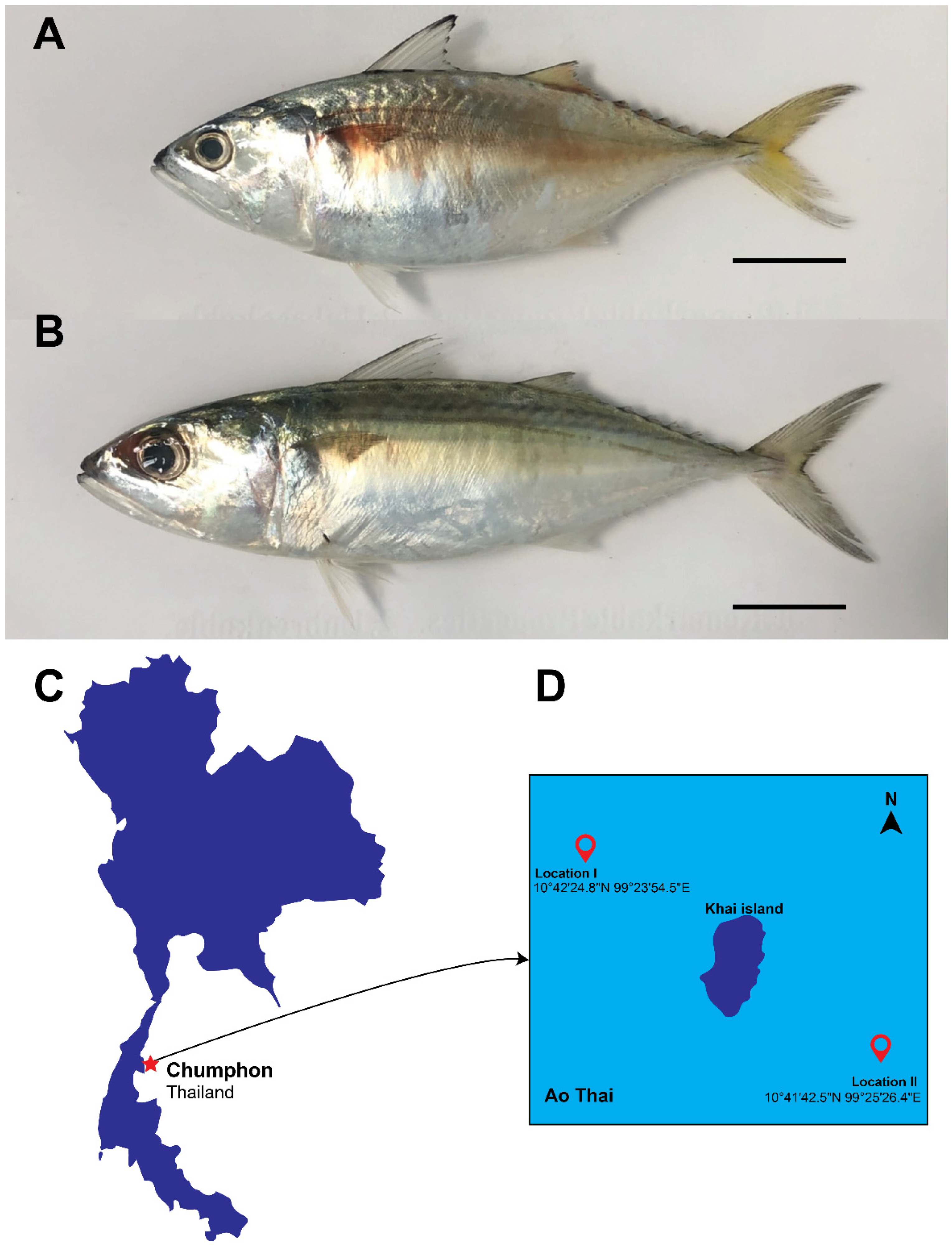 Animals 12 01769 g001