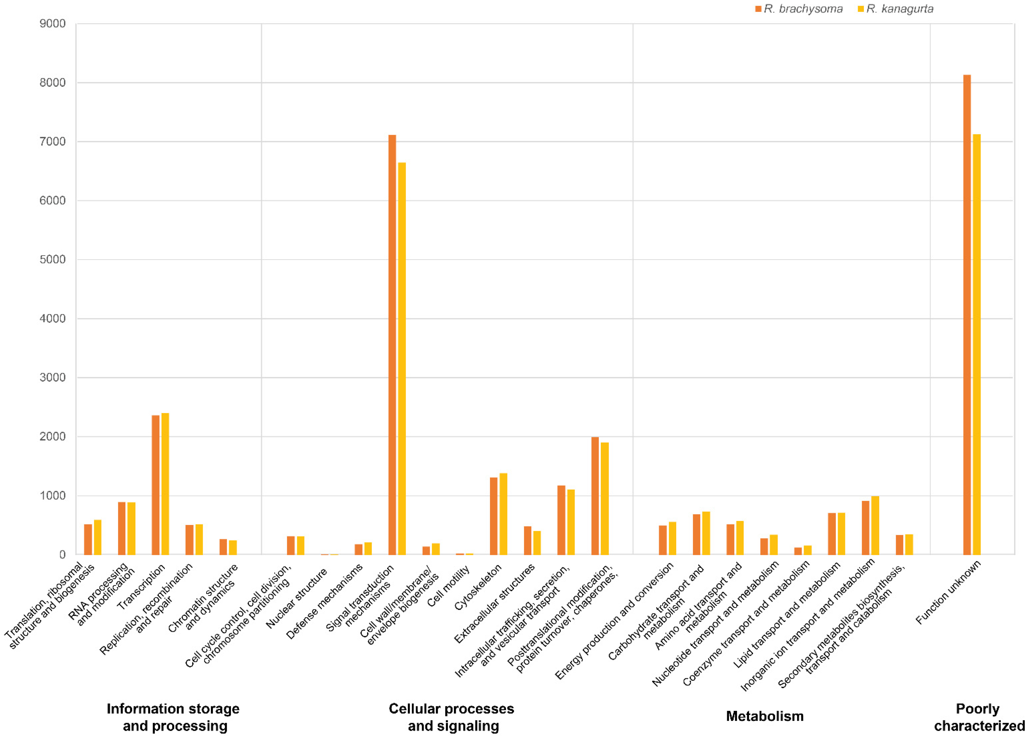 Animals 12 01769 g004