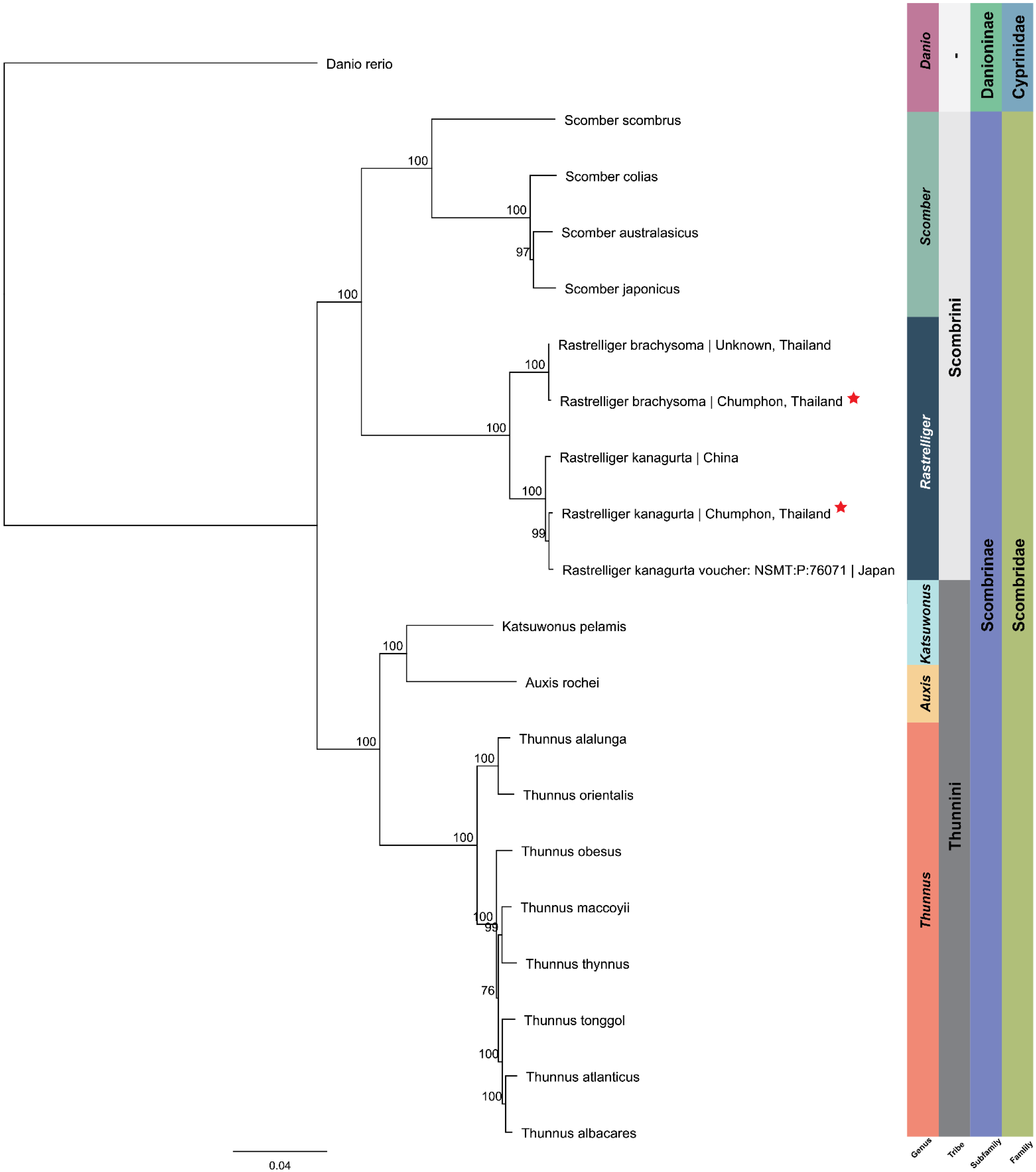 Animals 12 01769 g006