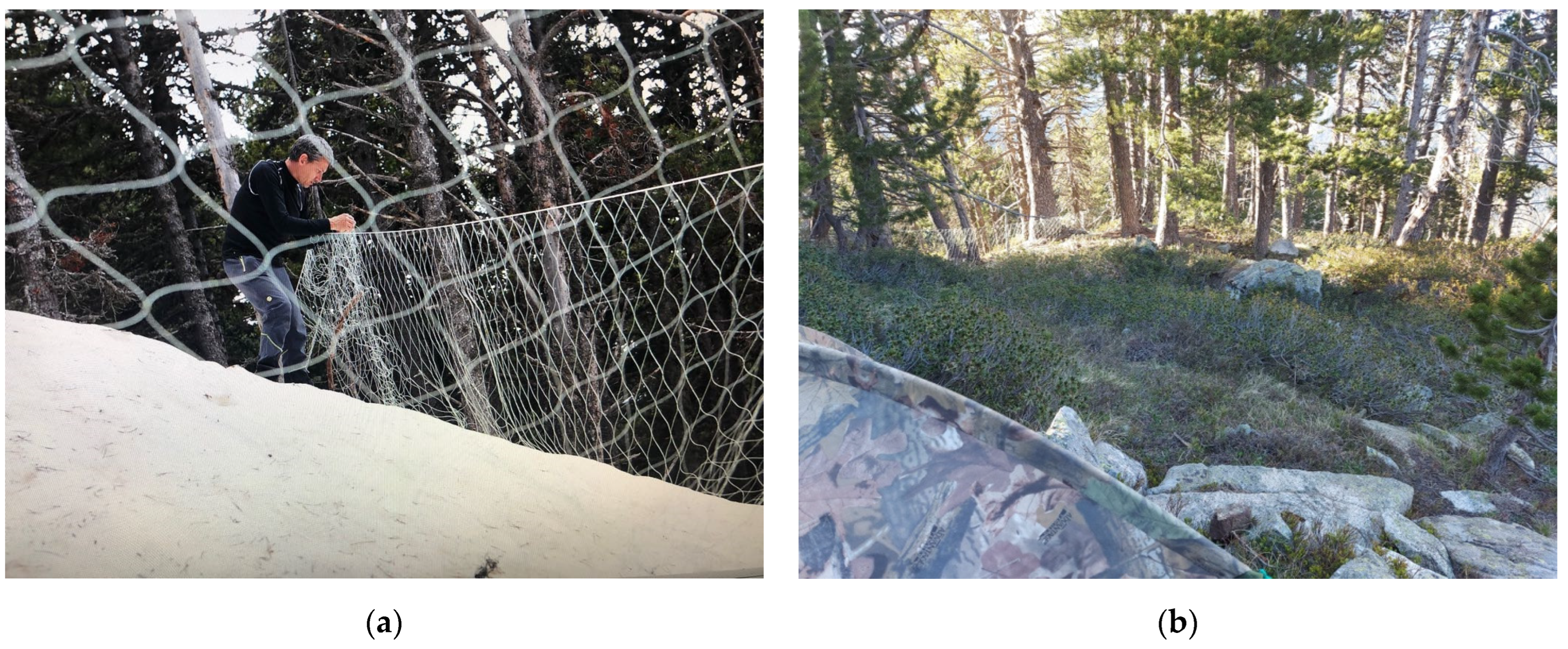 Animals 12 01773 g001