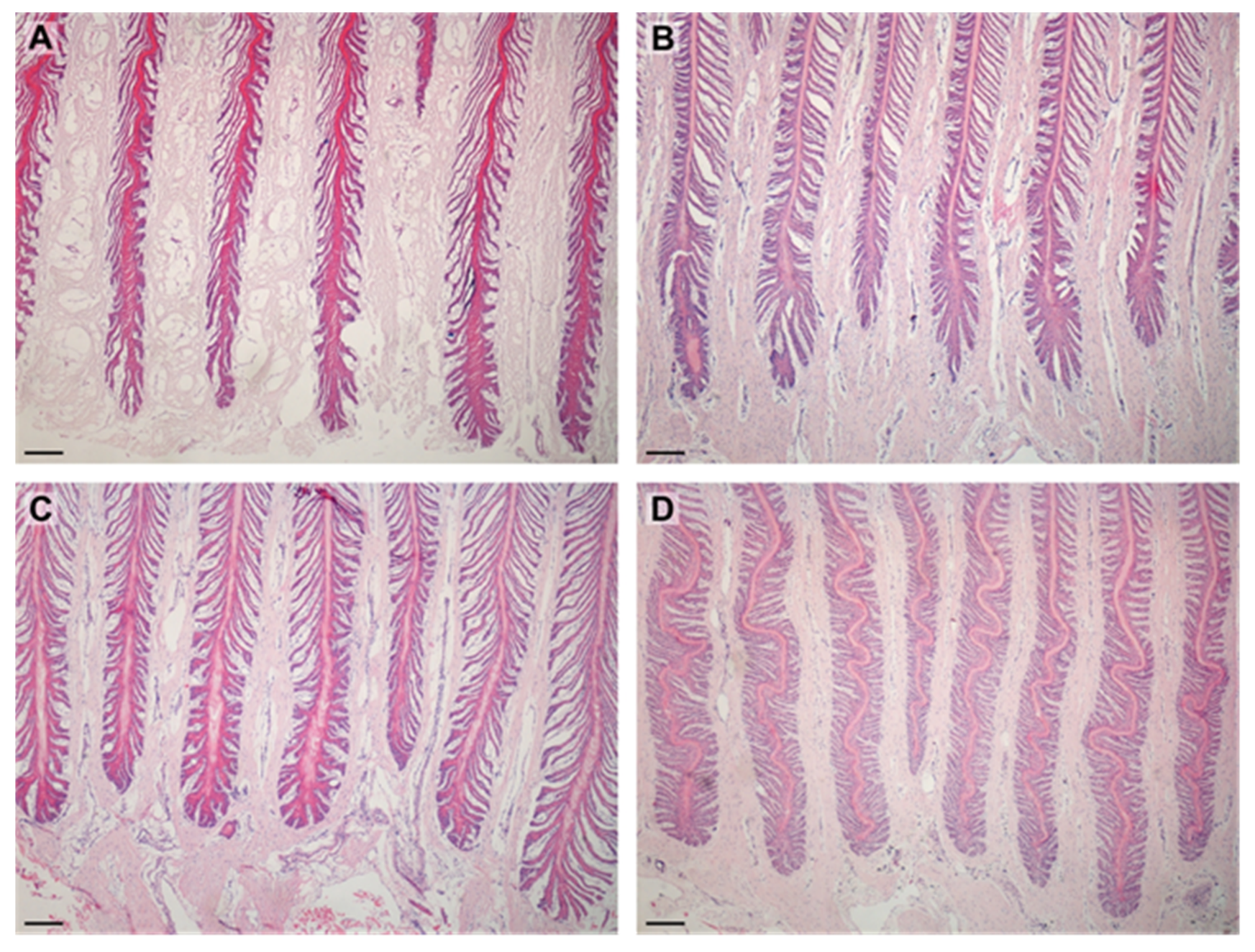 Animals 12 01774 g002
