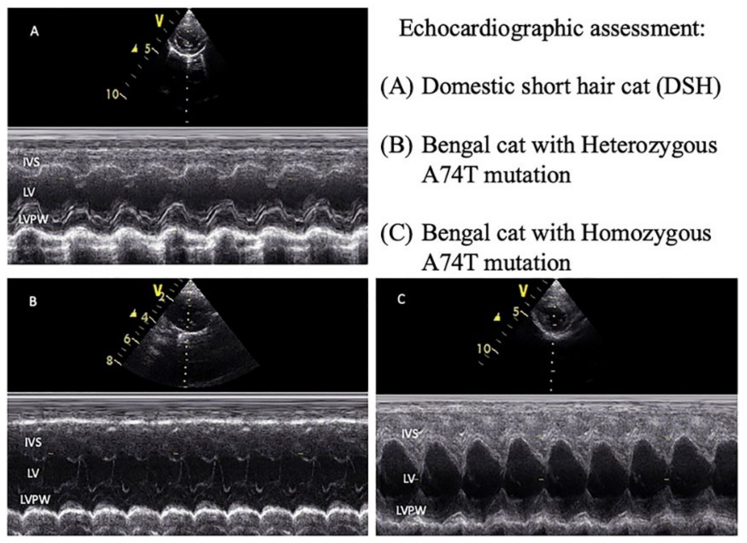 Animals 12 01782 g001