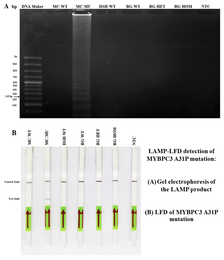 Animals 12 01782 g003