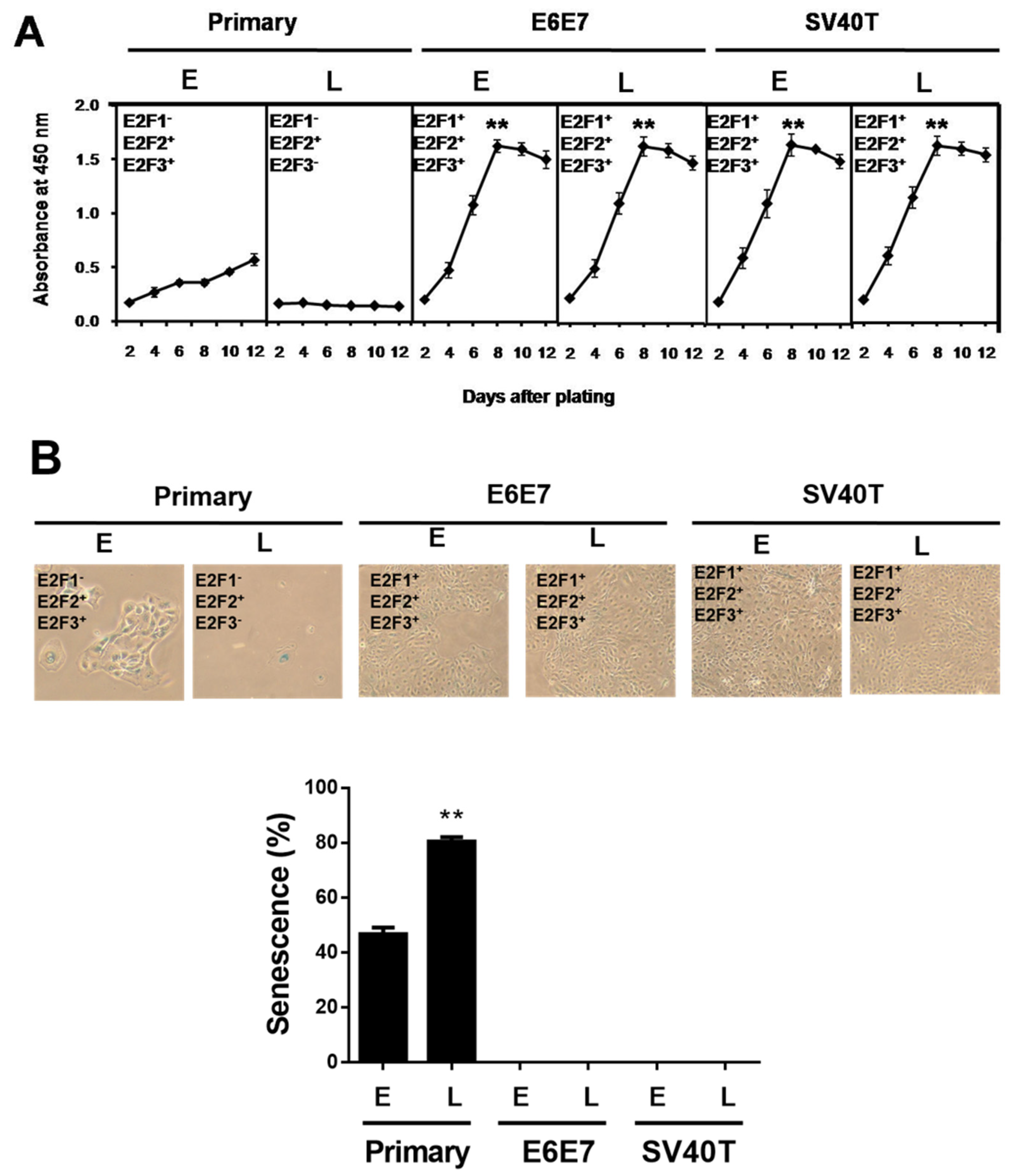 Animals 12 01790 g001 550