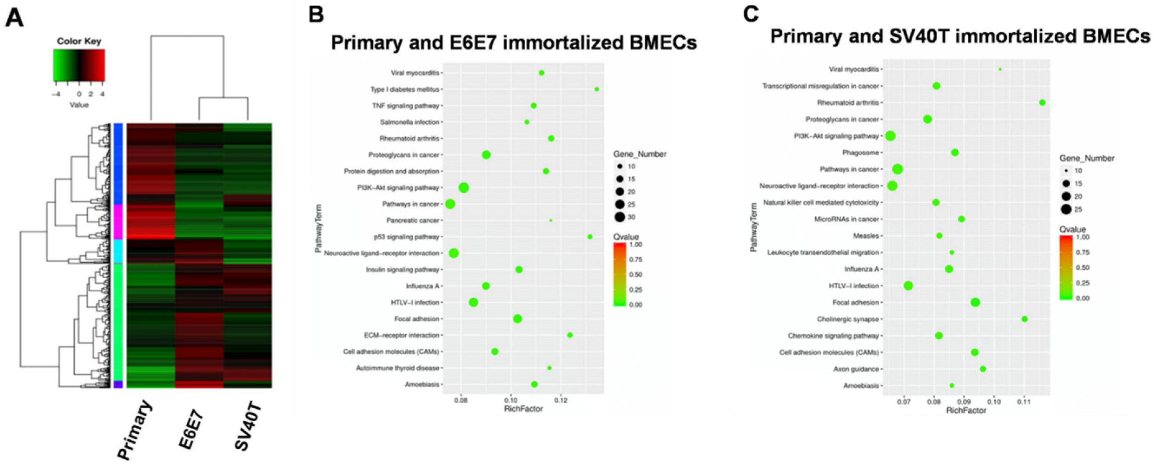 Animals 12 01790 g002 550
