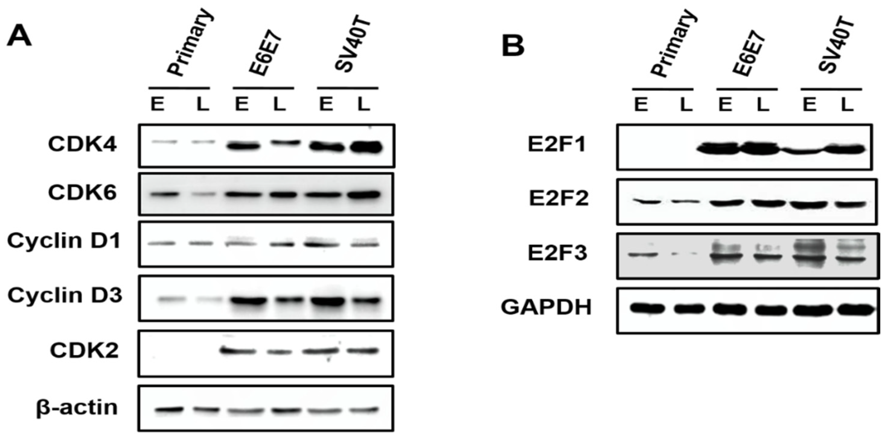 Animals 12 01790 g003 550