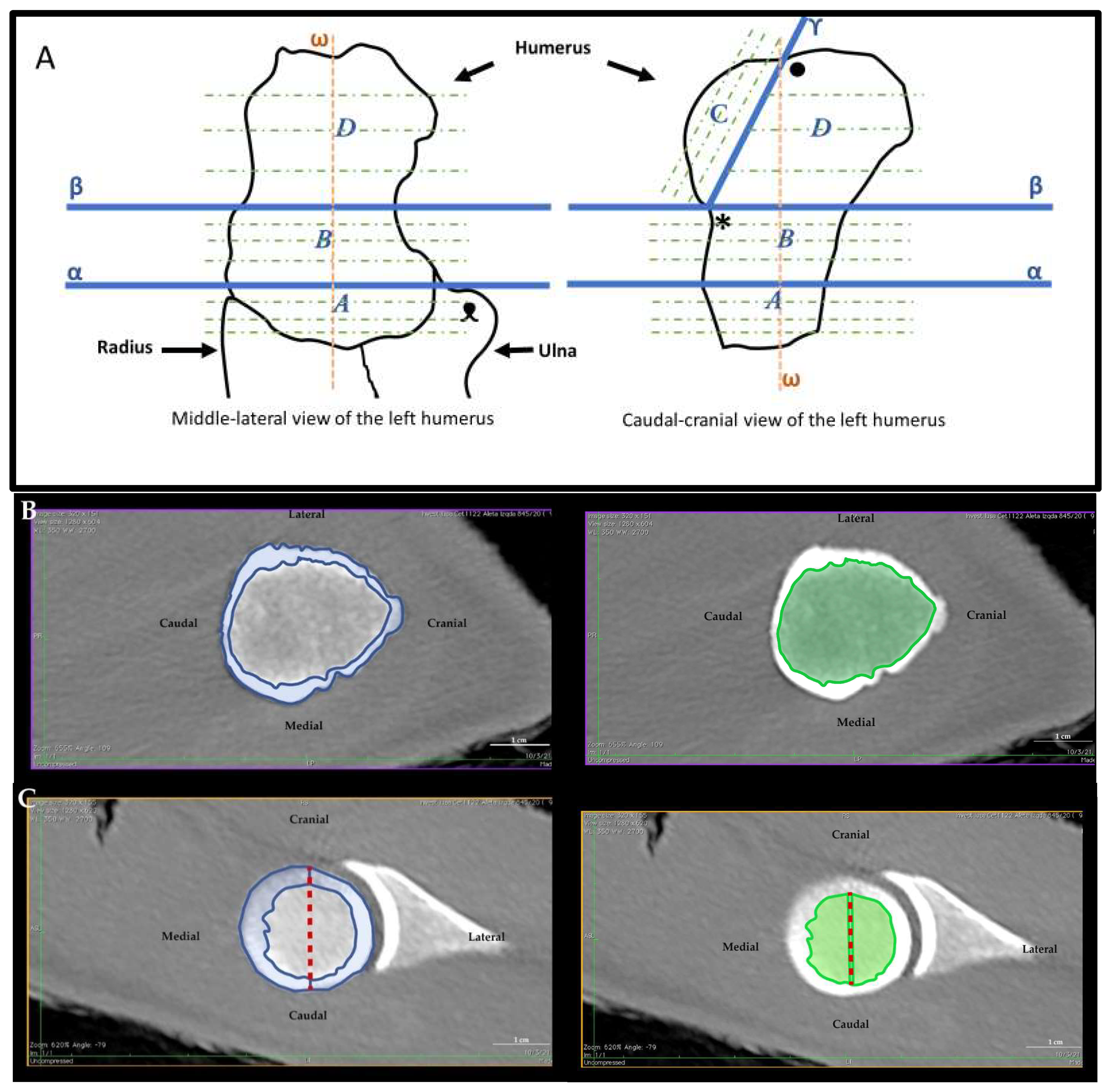 Animals 12 01793 g001 Animals 12 01793 g001
