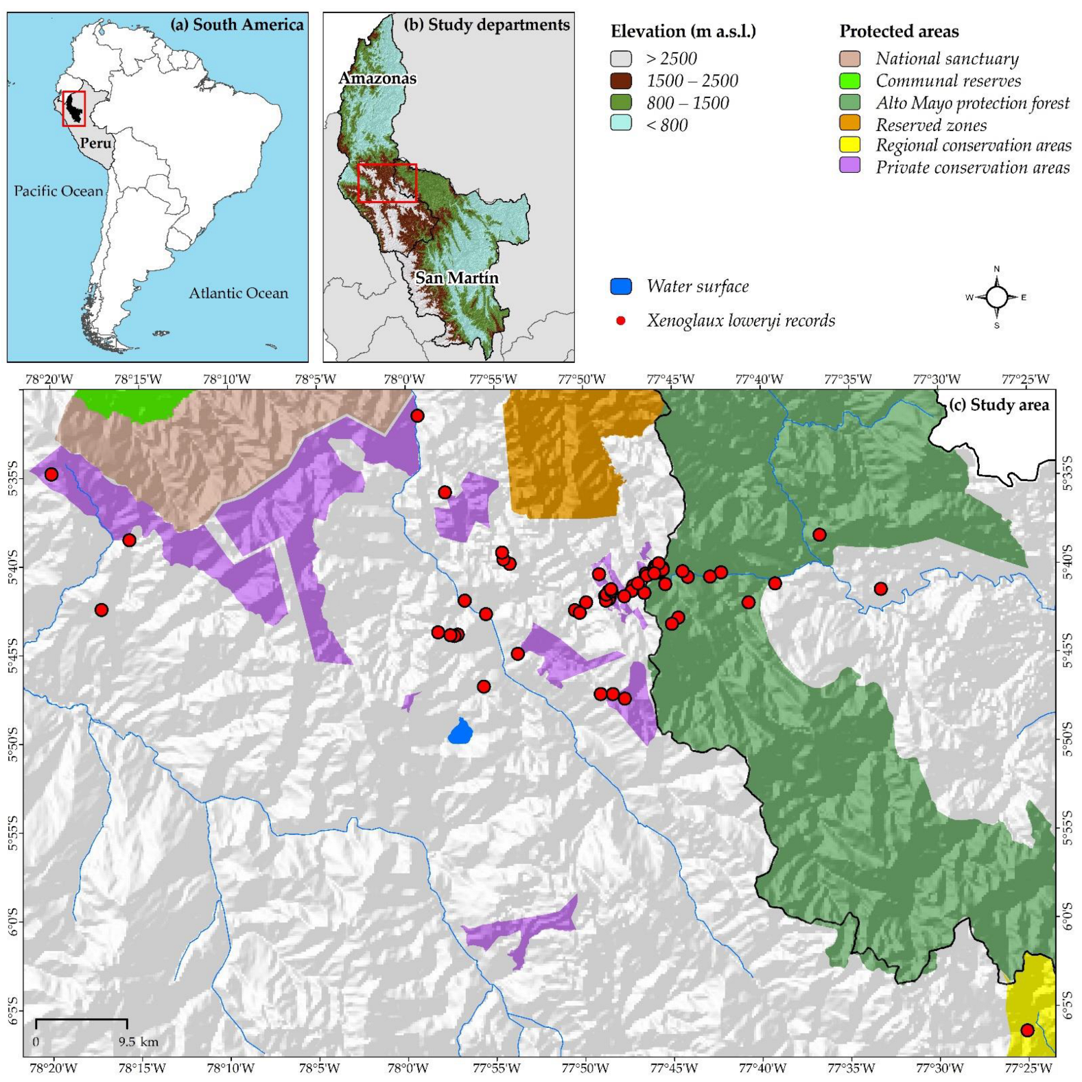 Animals 12 01794 g001 Animals 12 01794 g001