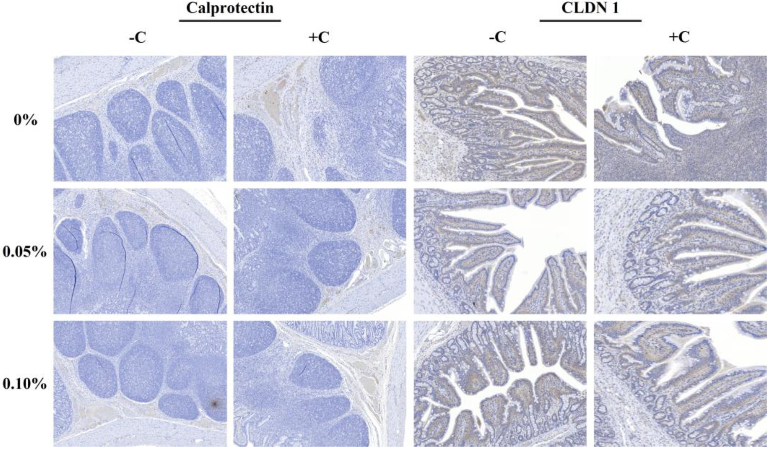 Animals 12 01799 g004 550
