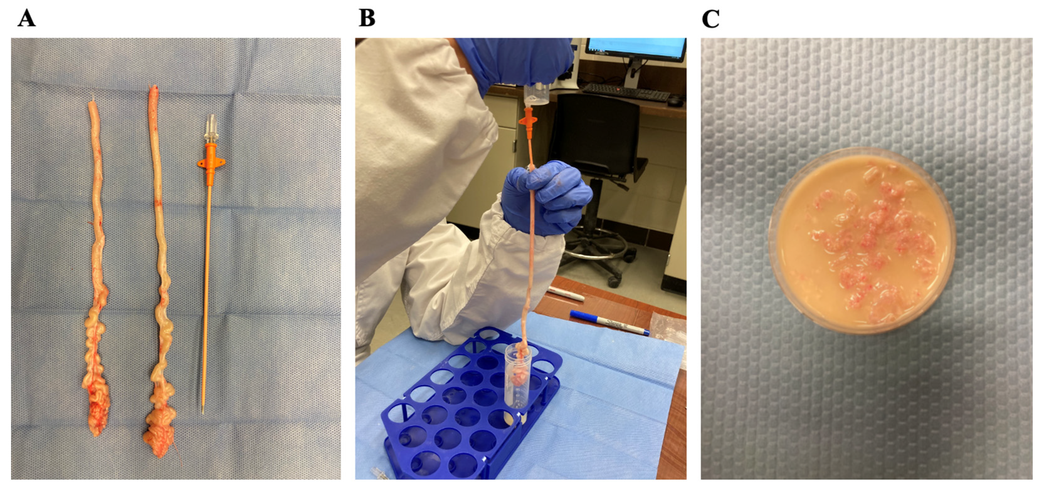 Animals 12 01802 g001