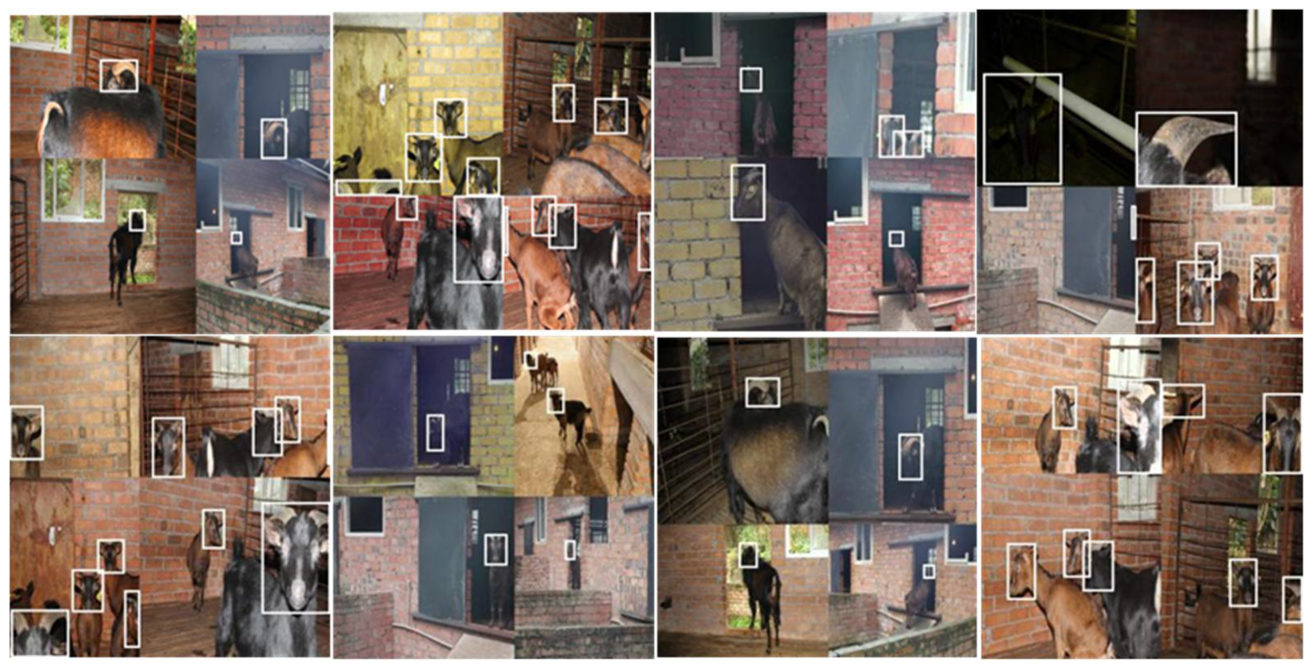 Animals 12 01810 g003 550