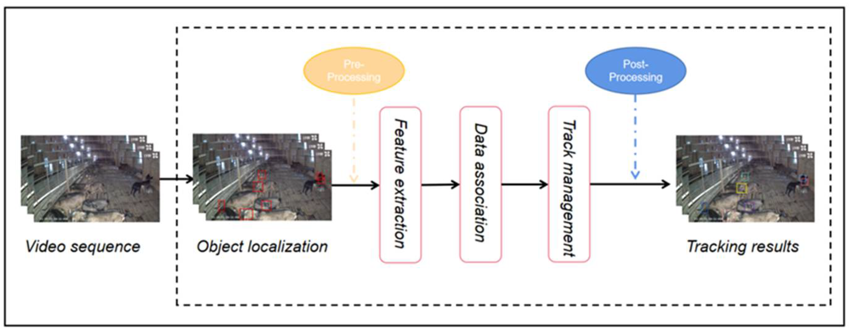 Animals 12 01810 g009 550